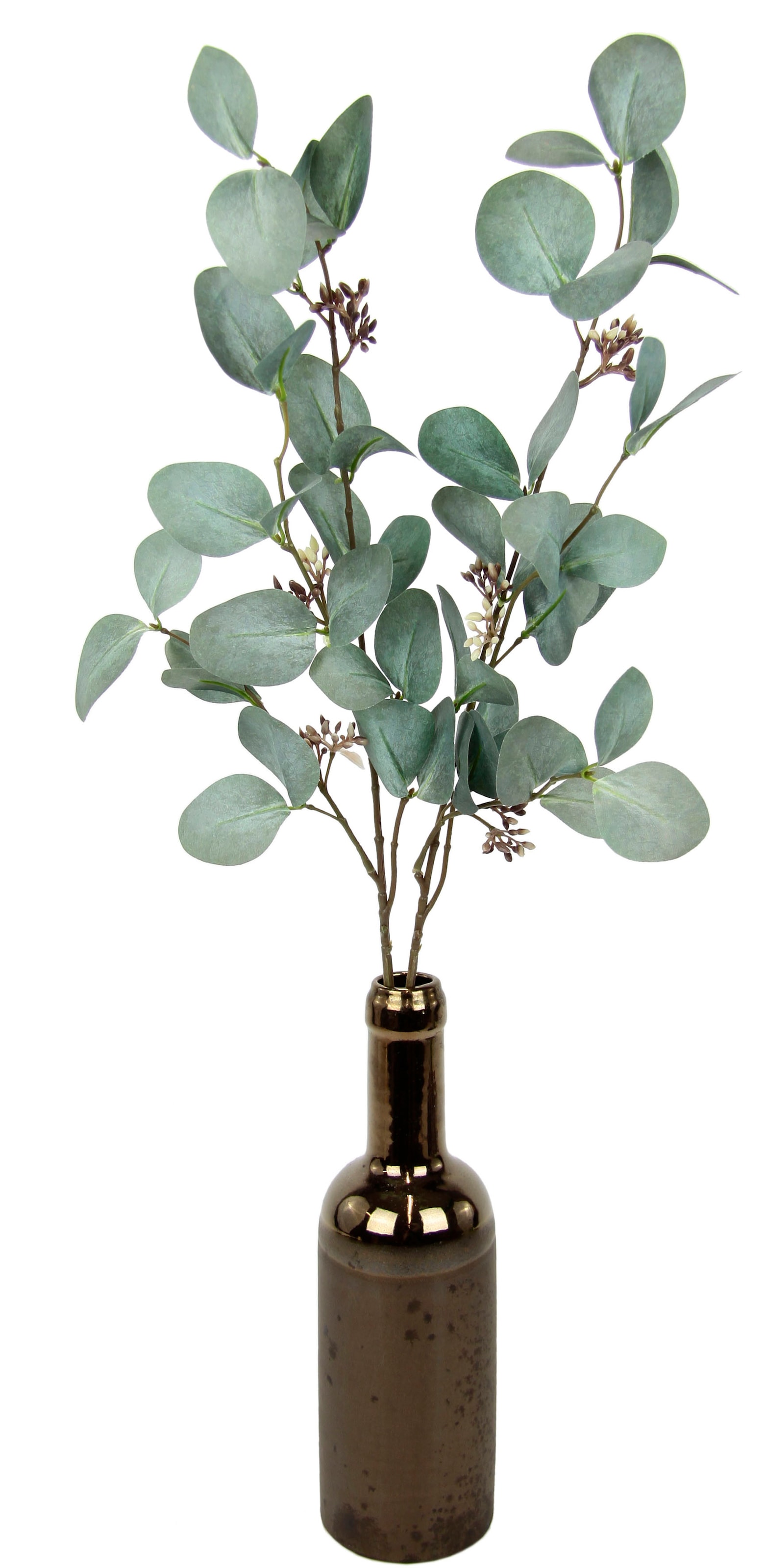 I.GE.A. Kunstzweig »Eukalyptus«, In Keramikvase bequem kaufen