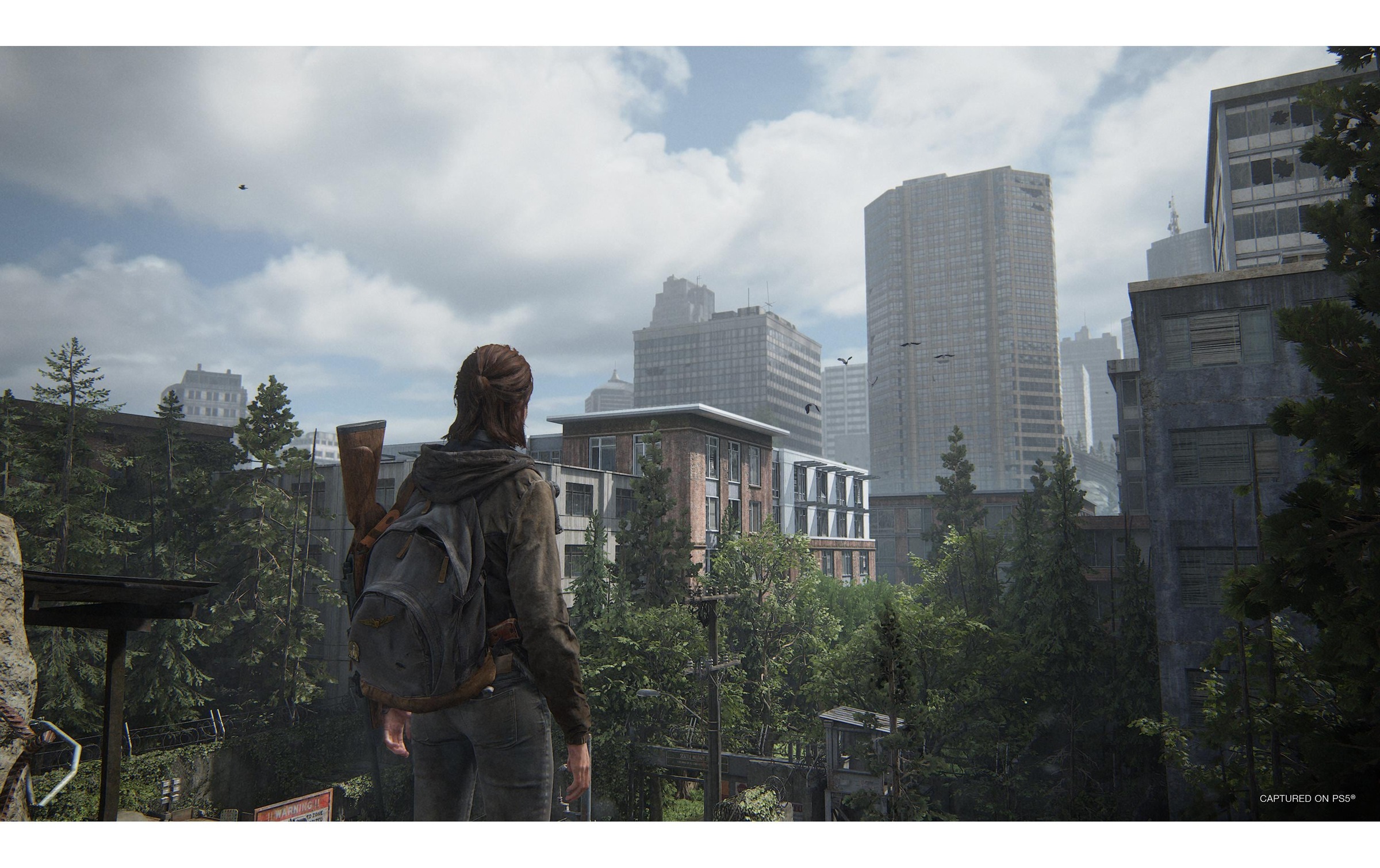 Sony Spielesoftware »The Last of Us Part II«, PlayStation 5