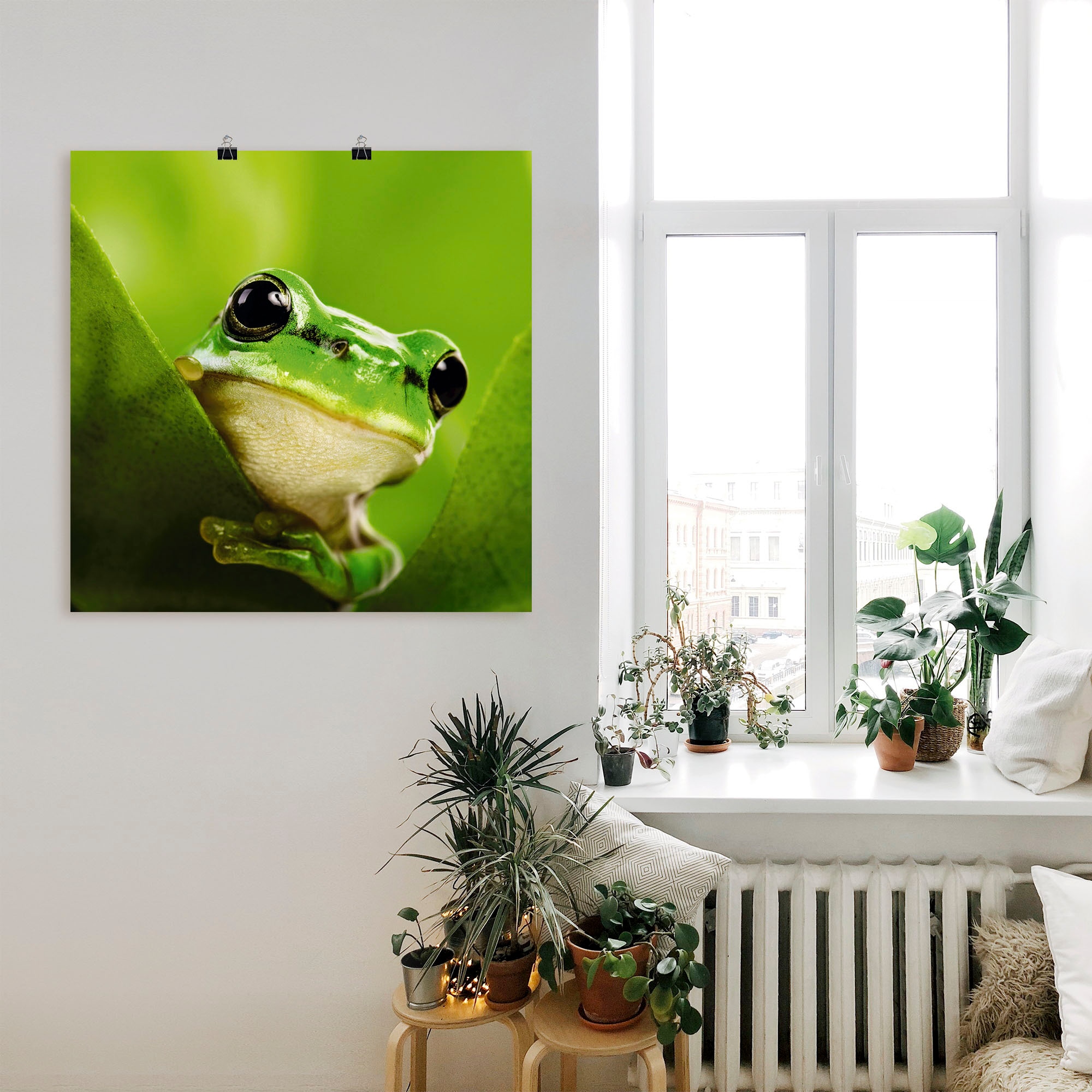 Artland Wandbild »Ausspähender Frosch« Wassertiere 1 Stk. tlg. als Leinwandbild, Poster in verschied. Grössen