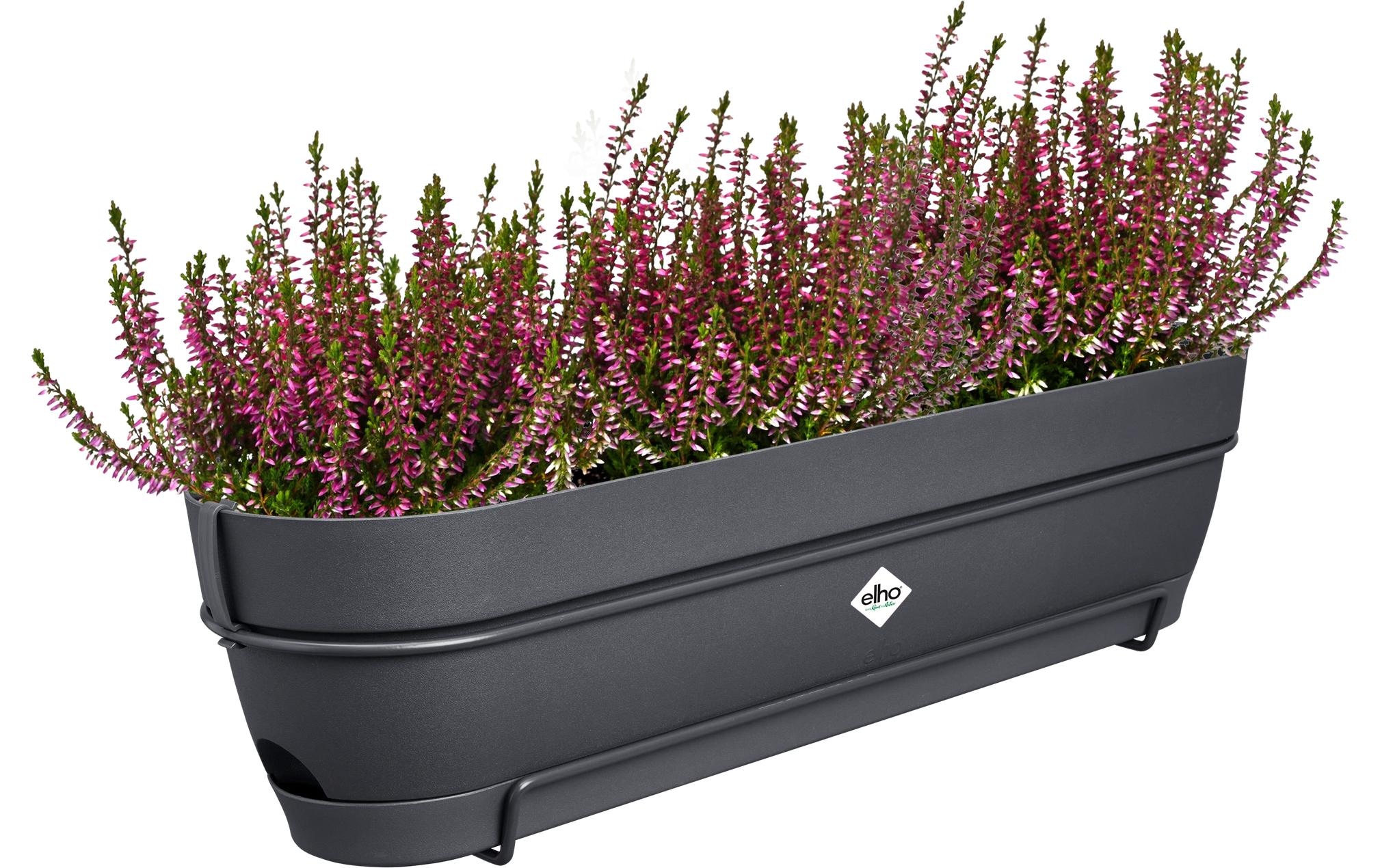 Elho Pot de fleurs »Vibia Campana Balkonkasten Allin1 70 cm«