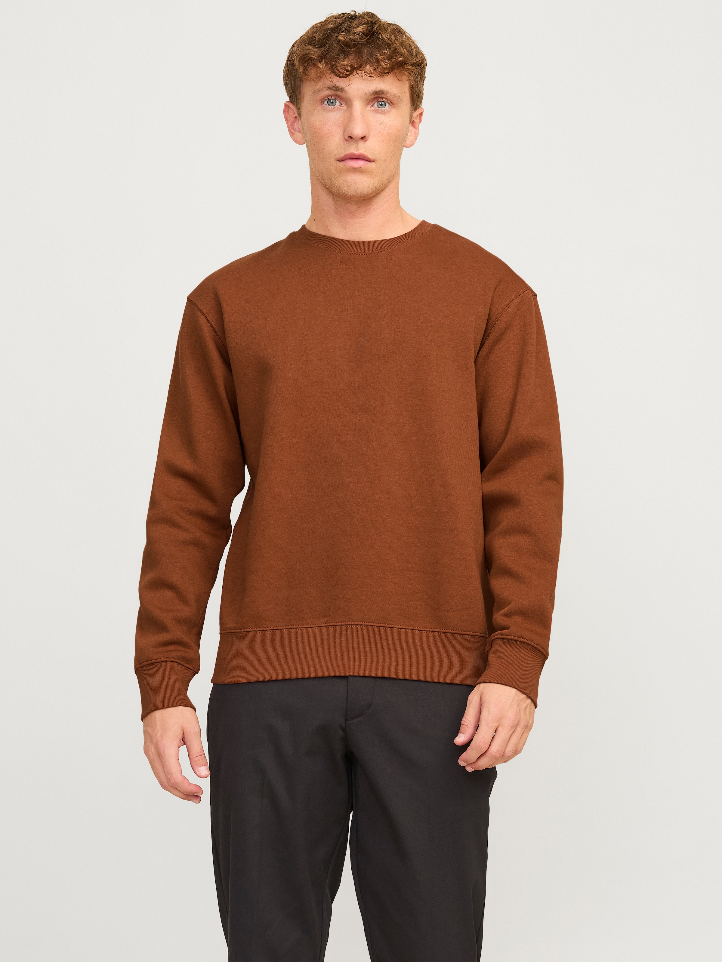 Jack & Jones Sweatshirt »JJESTAR BASIC SWEAT CREW NECK NOOS«, mit Rundhalsausschnitt