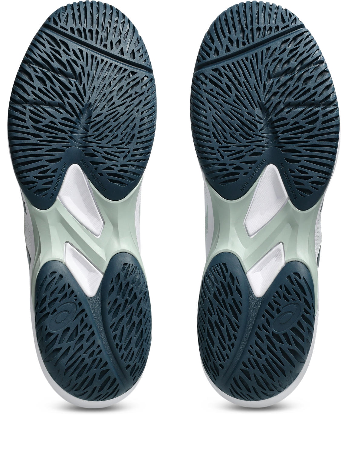 Asics Chaussures d'intérieur »COURT HUNTER FF«