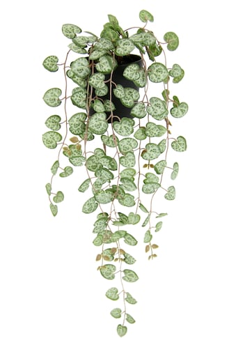 Kunstpflanze »Kunstpflanze Leuchterblume Hängende Pflanzen künstlich«