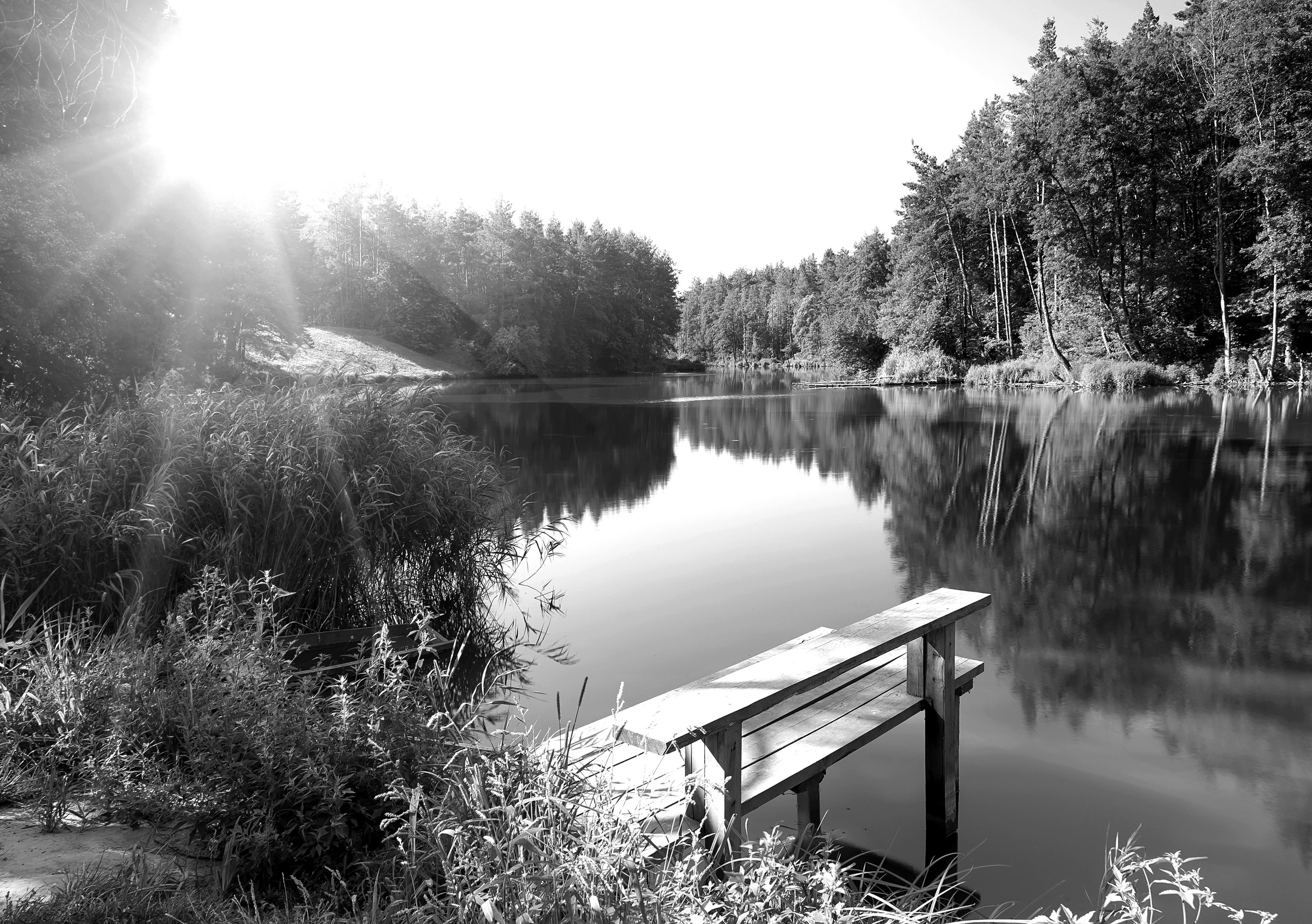 Image of Papermoon Fototapete »Wald mir Fluss Schwarz & Weiss«, Vliestapete, hochwertiger Digitaldruck, inklusive Kleister bei Ackermann Versand Schweiz