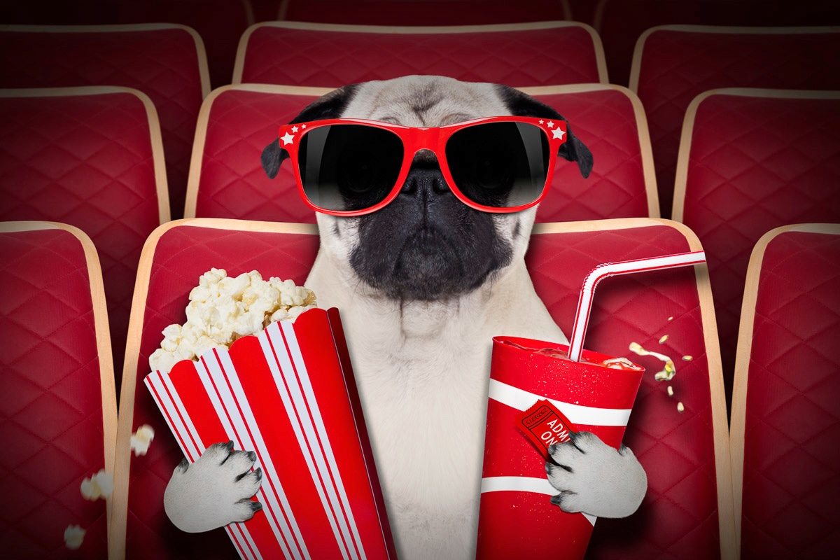 Image of Papermoon Fototapete "Hund im Kino"