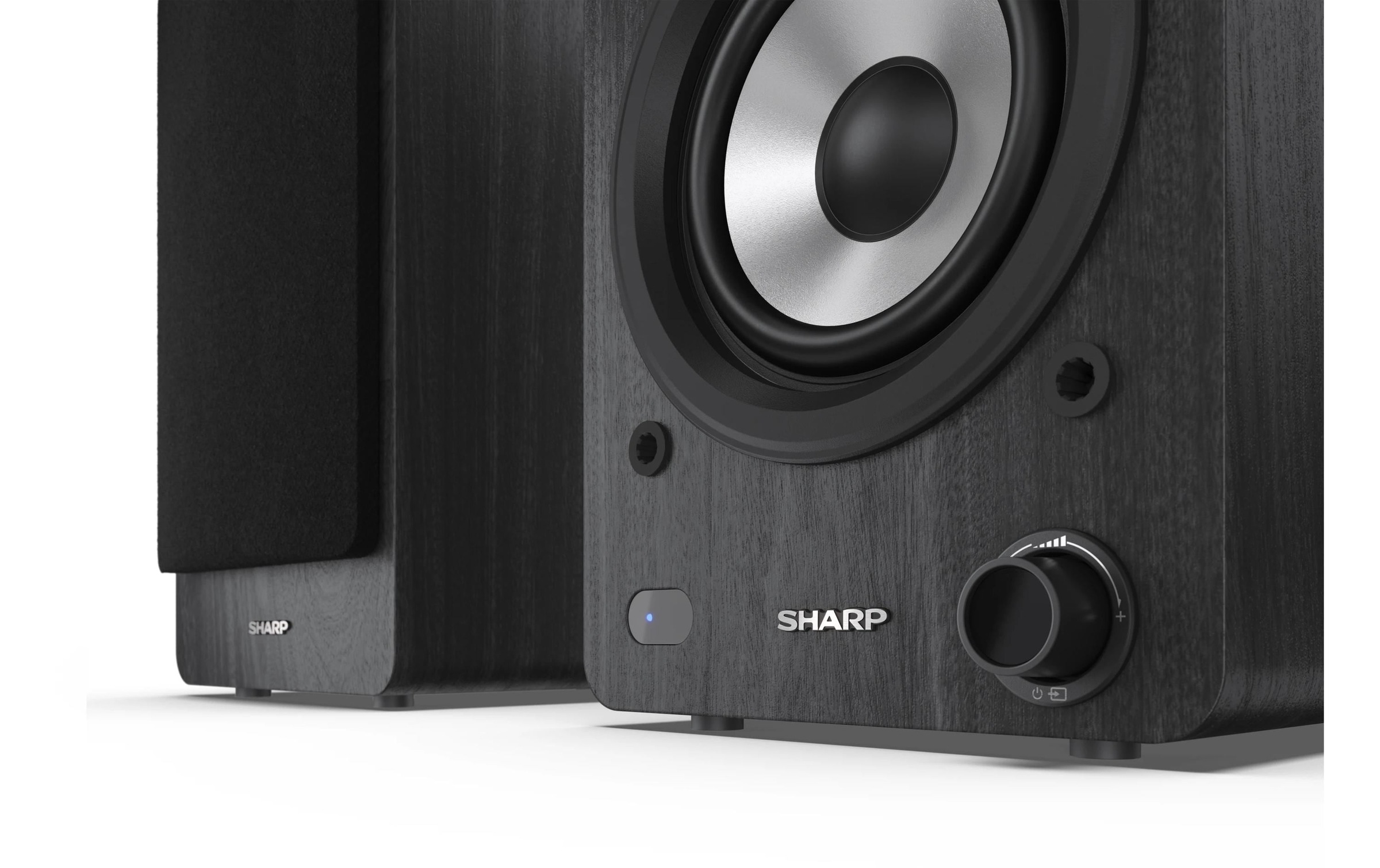 Sharp Lautsprecher »Regallautsprecher CP-SS30«