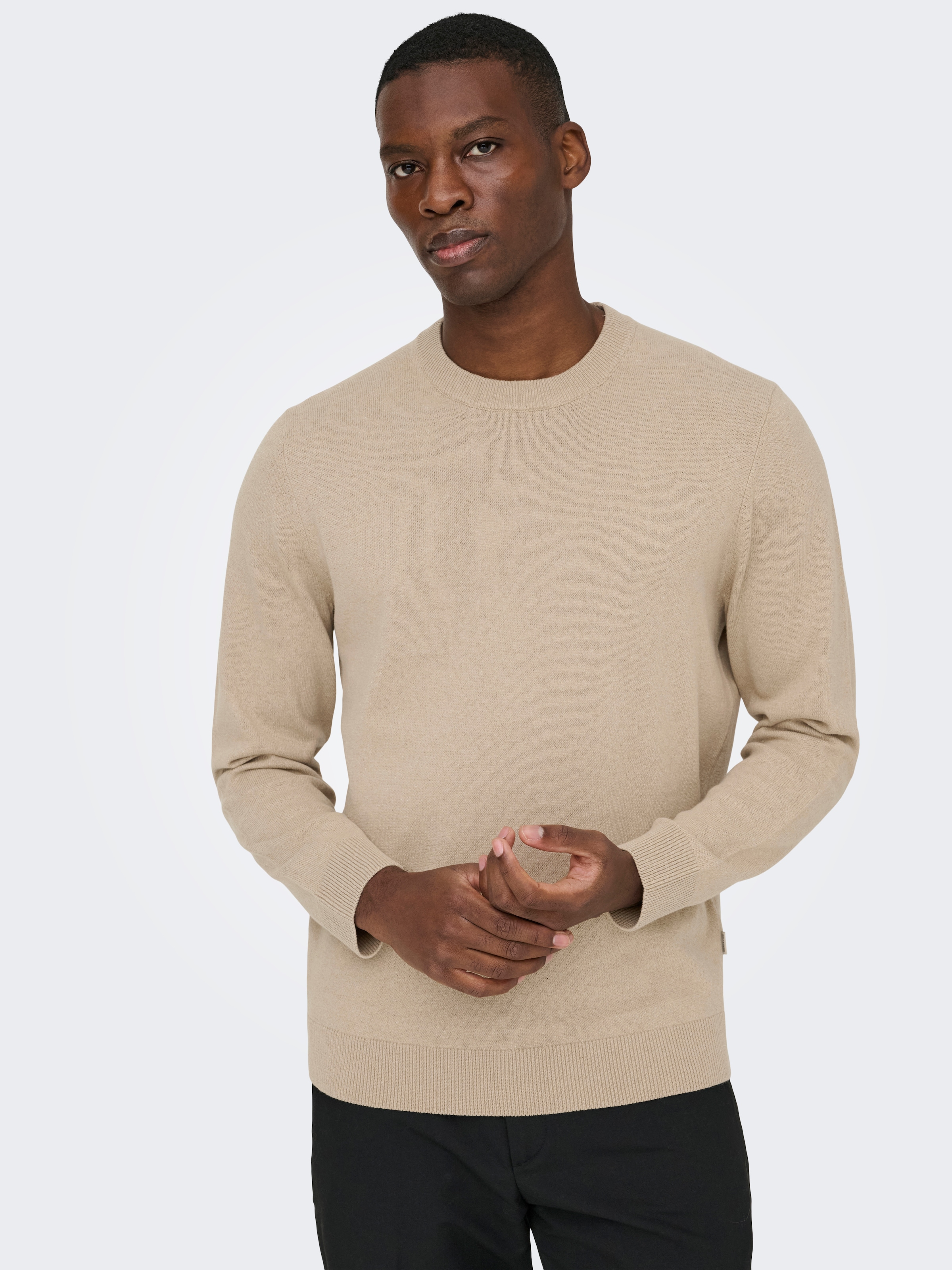 Image of ONLY & SONS Rundhalspullover "ONSREX LIFE REG 12 CREW KNIT"