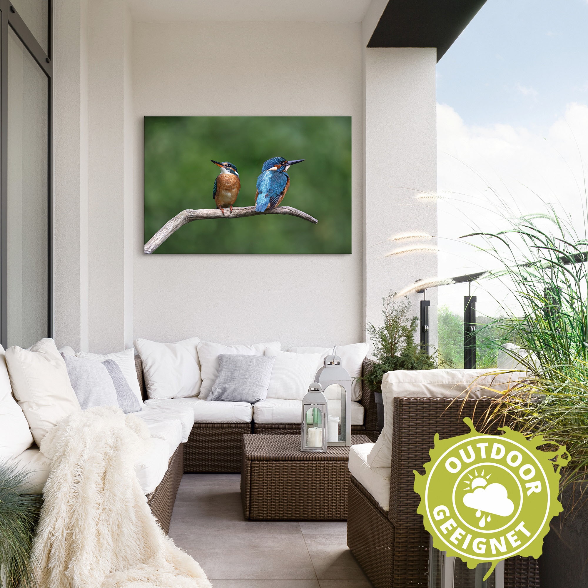 Artland Wandbild »Zwei Eisvogel«, Vogelbilder, (1 St.), als Alubild, Outdoorbild, Poster in verschied. Grössen