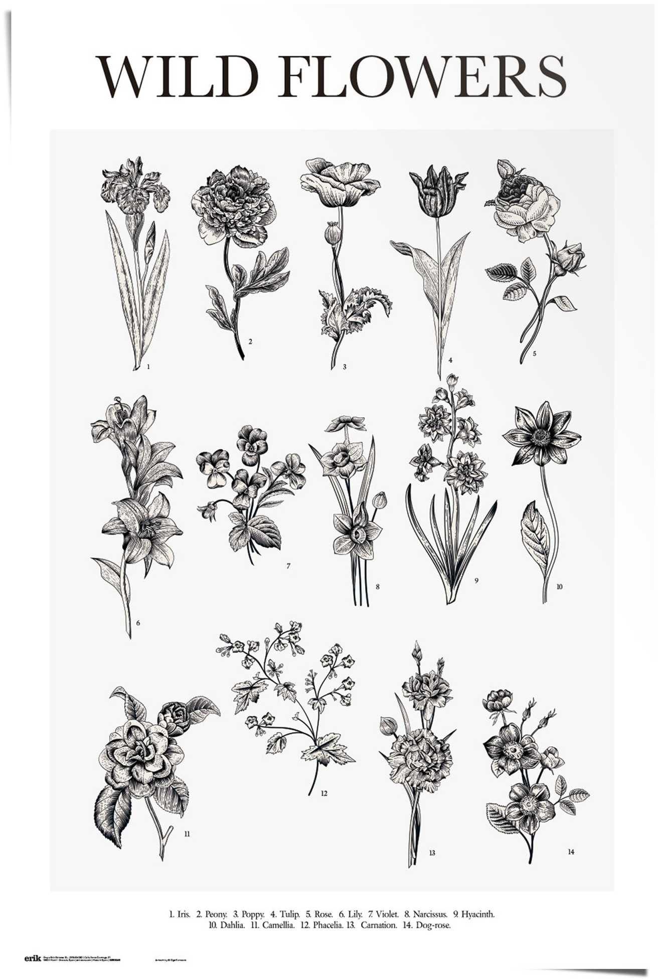 Image of Reinders! Poster »Wilde Blumen« bei Ackermann Versand Schweiz