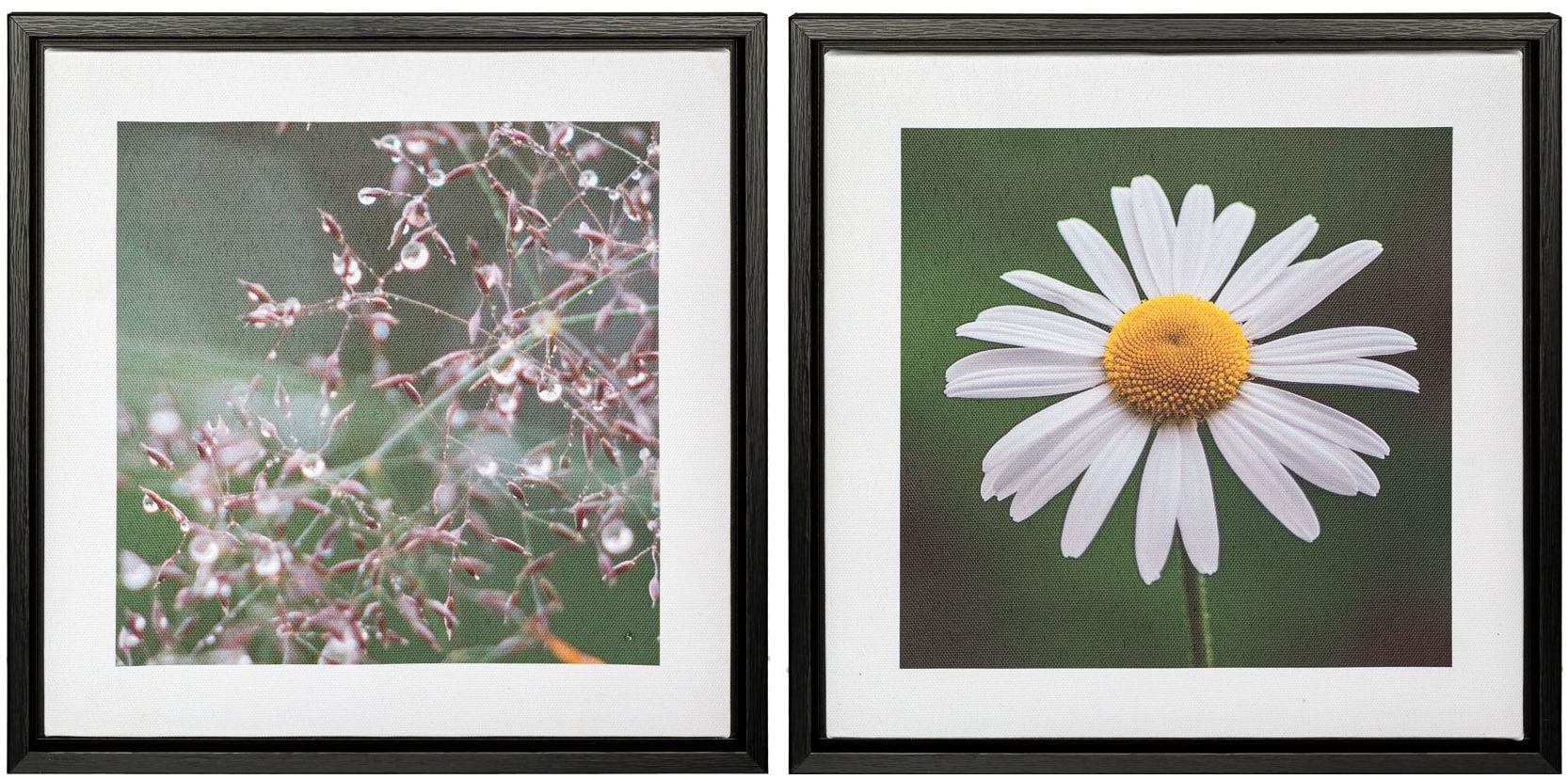 Image of Creativ home Bild mit Rahmen "Blüte und Tau" 2 Stk. tlg. auf Canvas-Leinwand