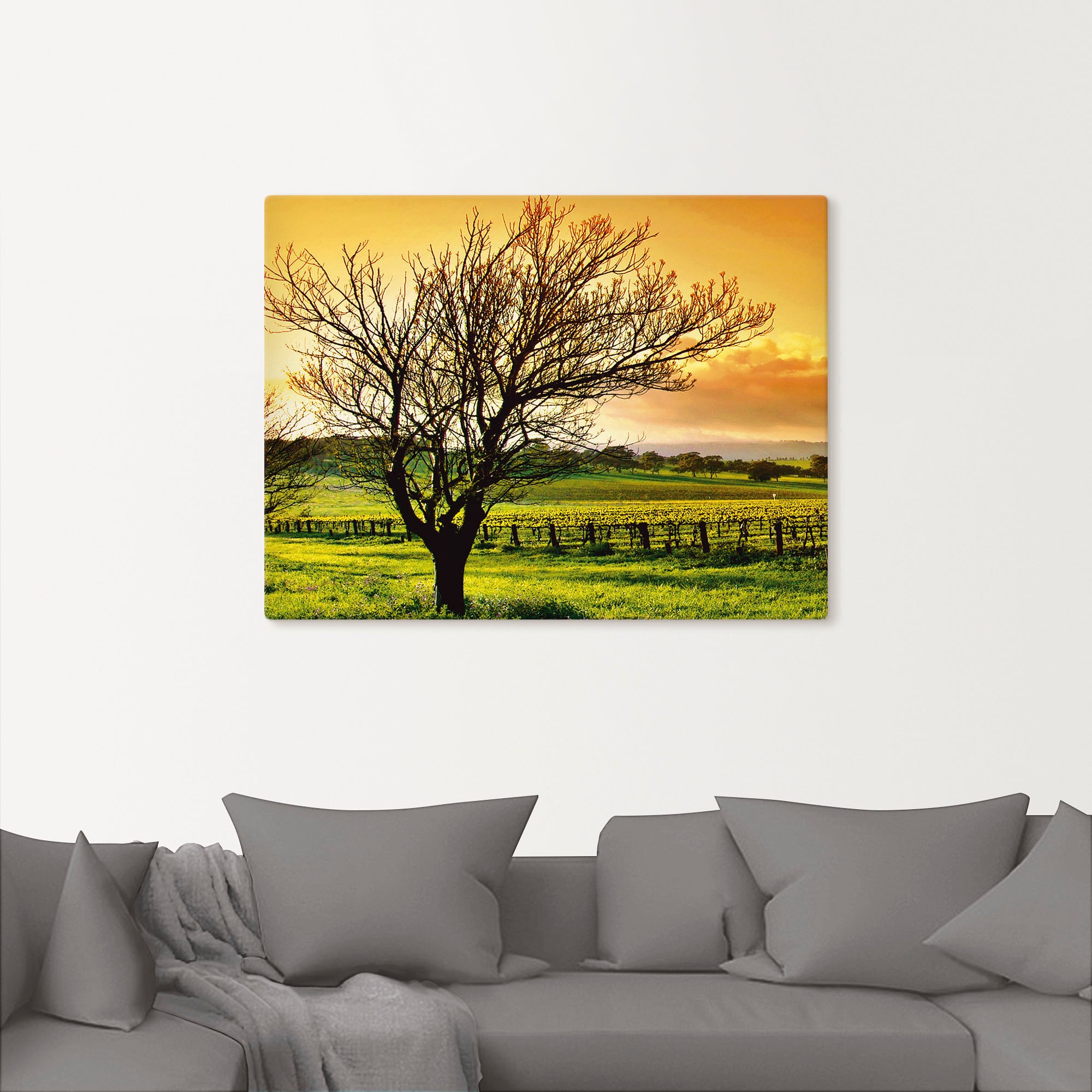 Artland Tableau sur toile »Landschaft mit Weinbergen« 1 cuis tlg. auf Holzrahmen gespannt