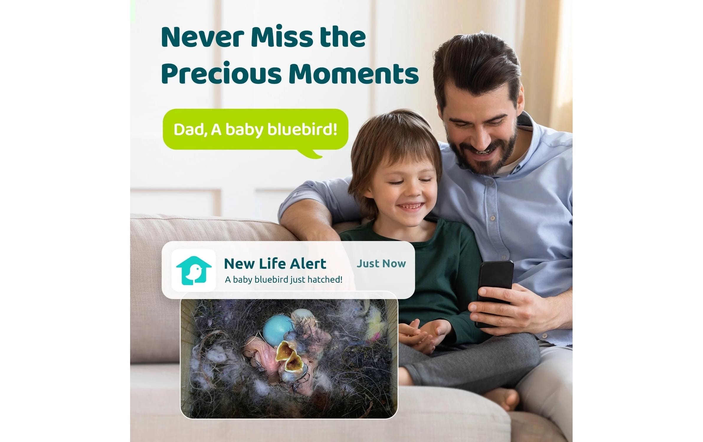 Birdfy Vogelhaus »Nistkasten mit Kamera und Solar«