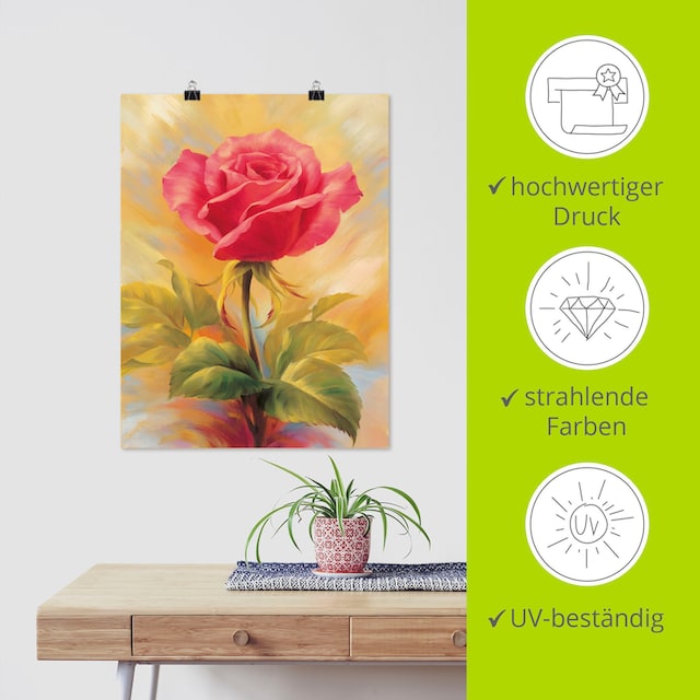 Artland Wandbild »Kleine Rosen II«, Blumenbilder, (1 St.), als Alubild,  Leinwandbild, Wandaufkleber oder Poster in versch. Grössen günstig kaufen