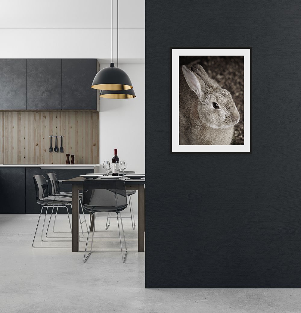 Image of queence Bild "Tilde" Foto Haustiere Kunst 1 Stk. tlg. HD Premium Poster-Druck inkl. Holzrahmen