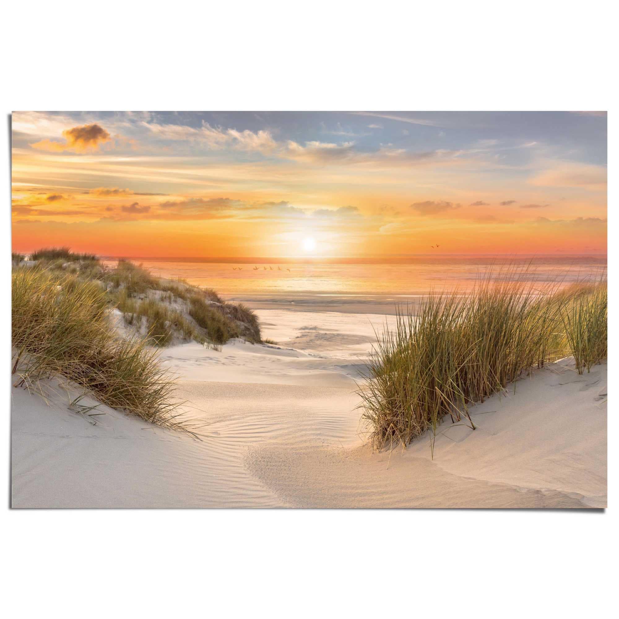 Reinders! Poster »Beautiful Dunes«