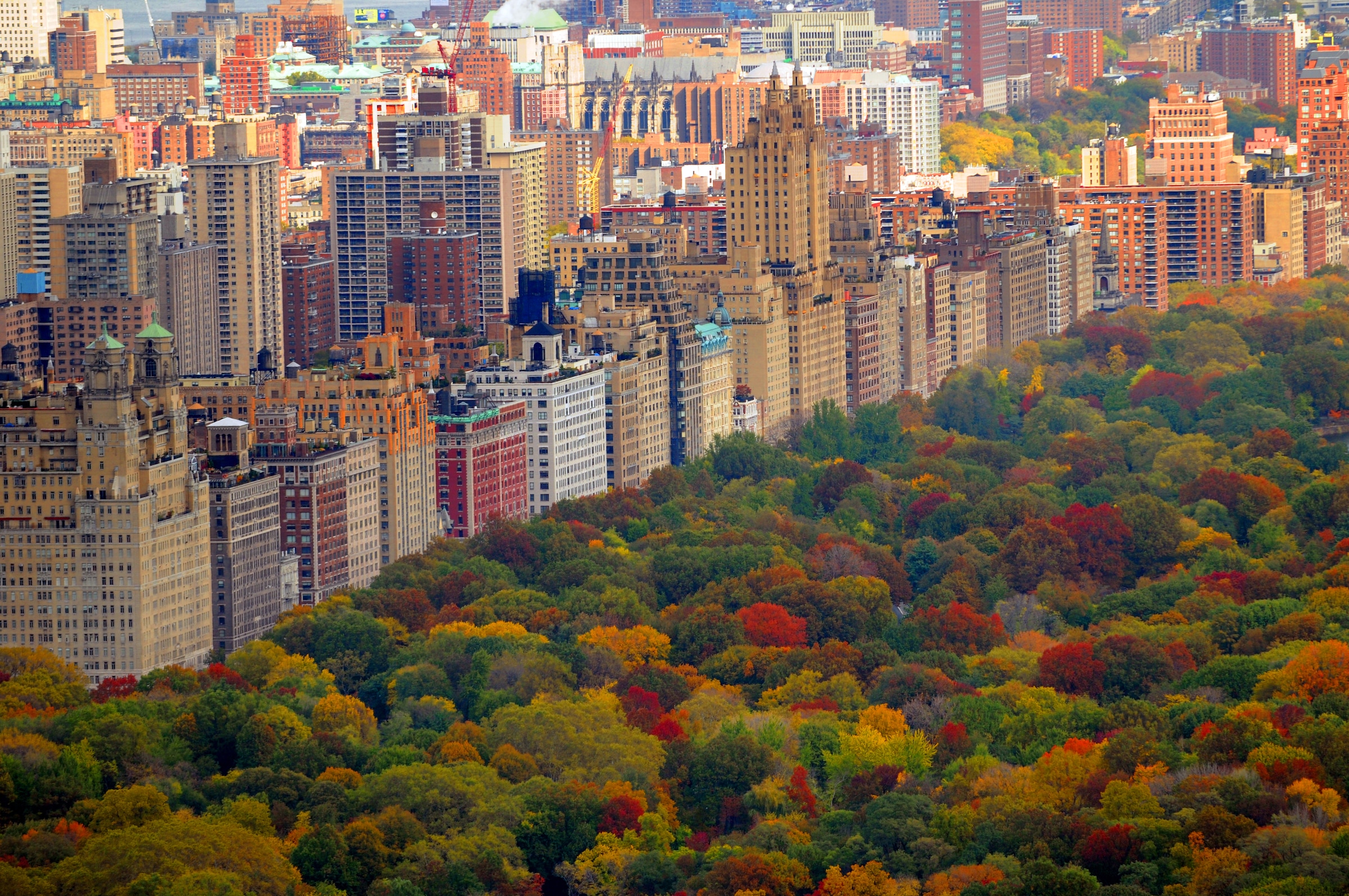 Image of Papermoon Fototapete "Central Park" glatt