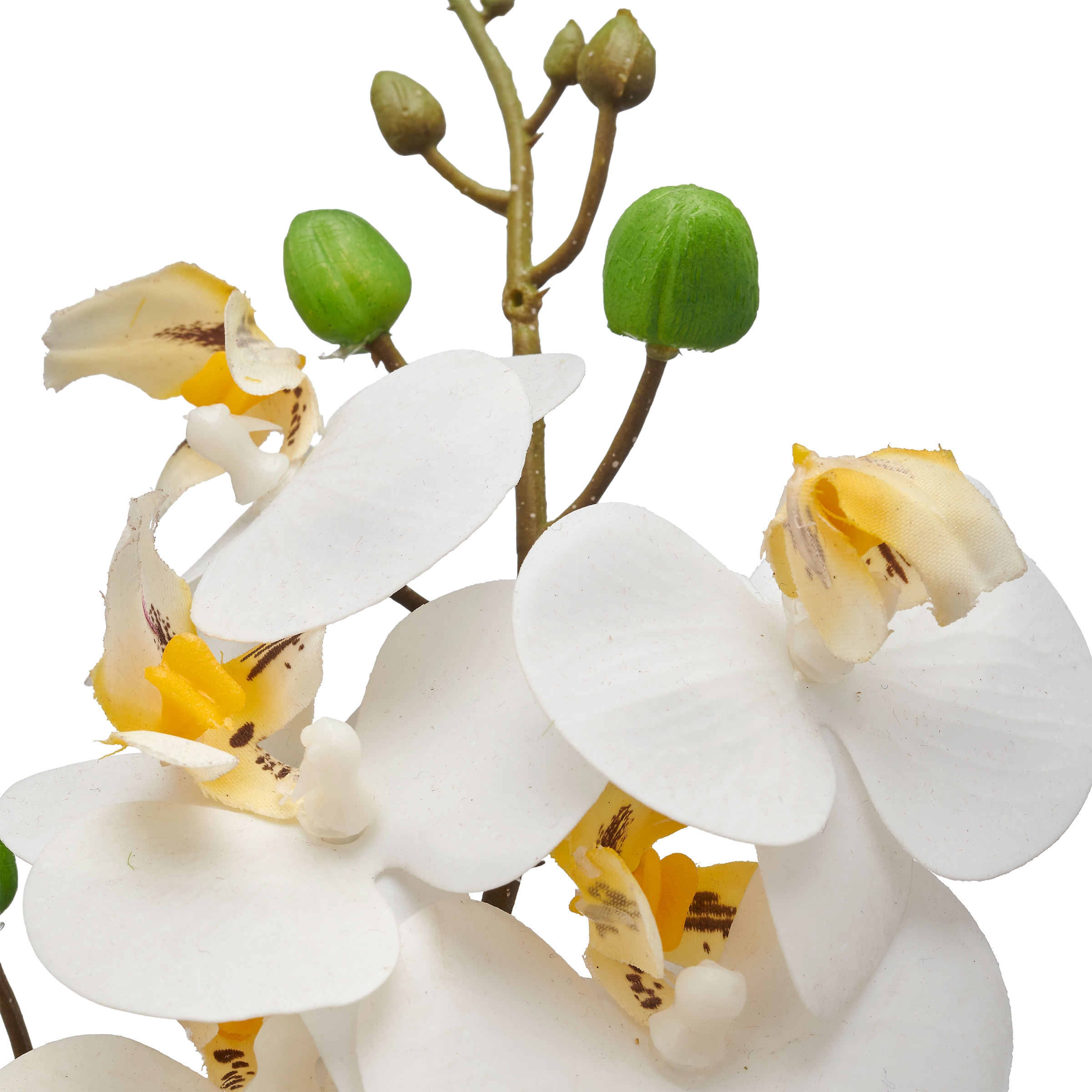 Creativ green Kunstorchidee »Orchidee Phalaenopsis«, mit real-touch-Blüten