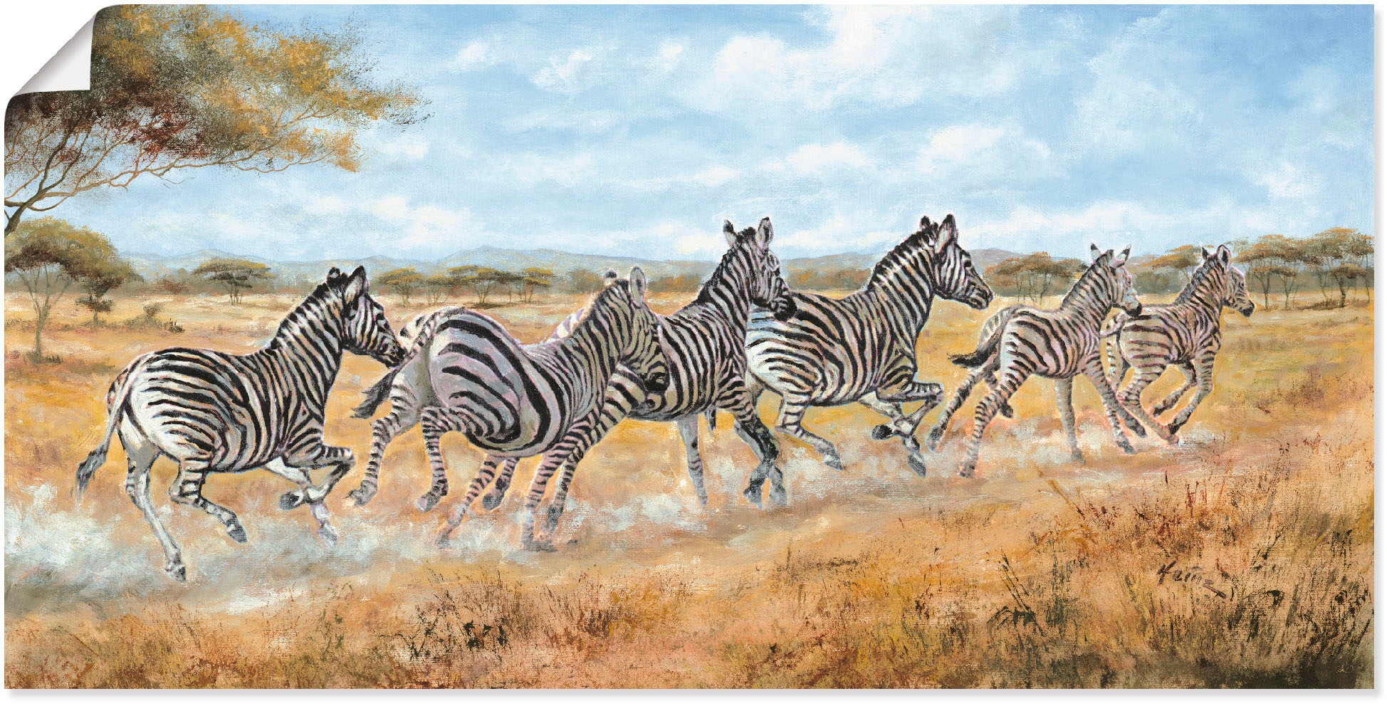 Image of Artland Wandbild »Laufende Zebras«, Wildtiere, (1 St.), in vielen Grössen & Produktarten - Alubild / Outdoorbild für den Aussenbereich, Leinwandbild, Poster, Wandaufkleber / Wandtattoo auch für Badezimmer geeignet bei Ackermann Versand Schweiz