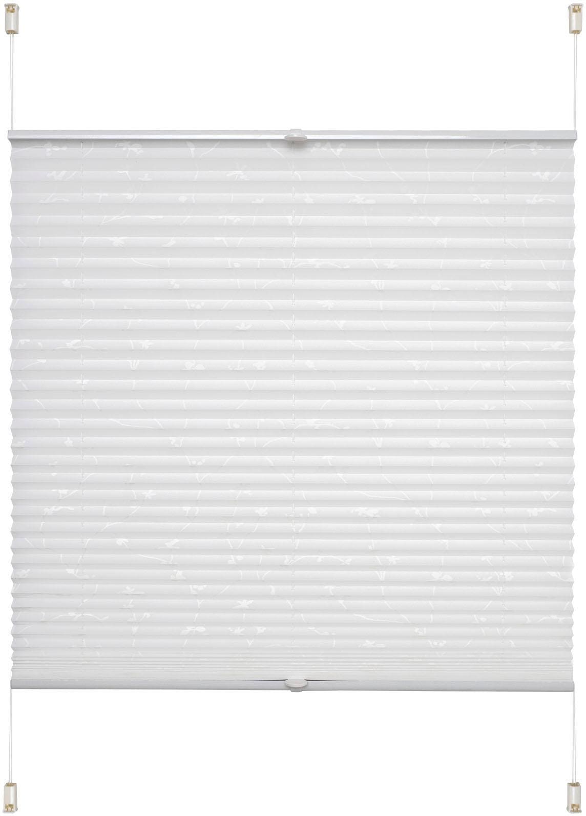 Image of Liedeco Plissee »Klemmfix-Plissee Ranke grau«, Lichtschutz, ohne Bohren, verspannt, Klemmfix-Plisse mit floralem Druck bei Ackermann Versand Schweiz