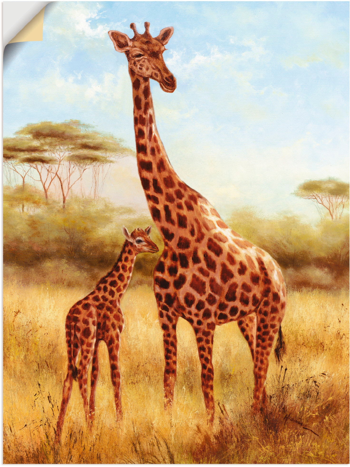 als Artland versch. oder »Giraffe«, Grössen St.), Alubild, Wandbild Wildtiere, Wandaufkleber Poster (1 in kaufen Leinwandbild,