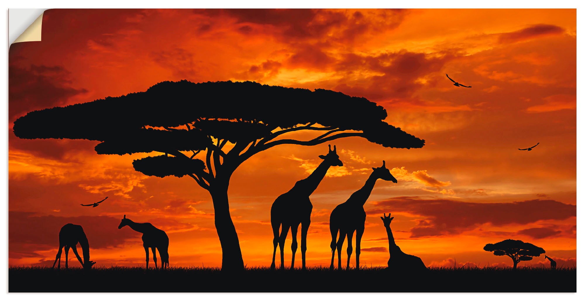 Image of Artland Wandbild »Herde von Giraffen im Sonnenuntergang«, Wildtiere, (1 St.), in vielen Grössen & Produktarten - Alubild / Outdoorbild für den Aussenbereich, Leinwandbild, Poster, Wandaufkleber / Wandtattoo auch für Badezimmer geeignet bei Ackermann Versa