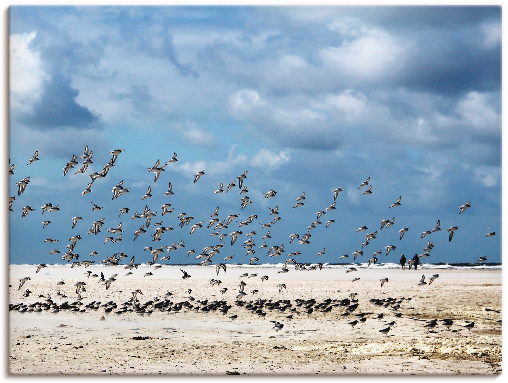 Image of Artland Wandbild »Die Vögel«, Strand, (1 St.), in vielen Grössen & Produktarten -Leinwandbild, Poster, Wandaufkleber / Wandtattoo auch für Badezimmer geeignet bei Ackermann Versand Schweiz