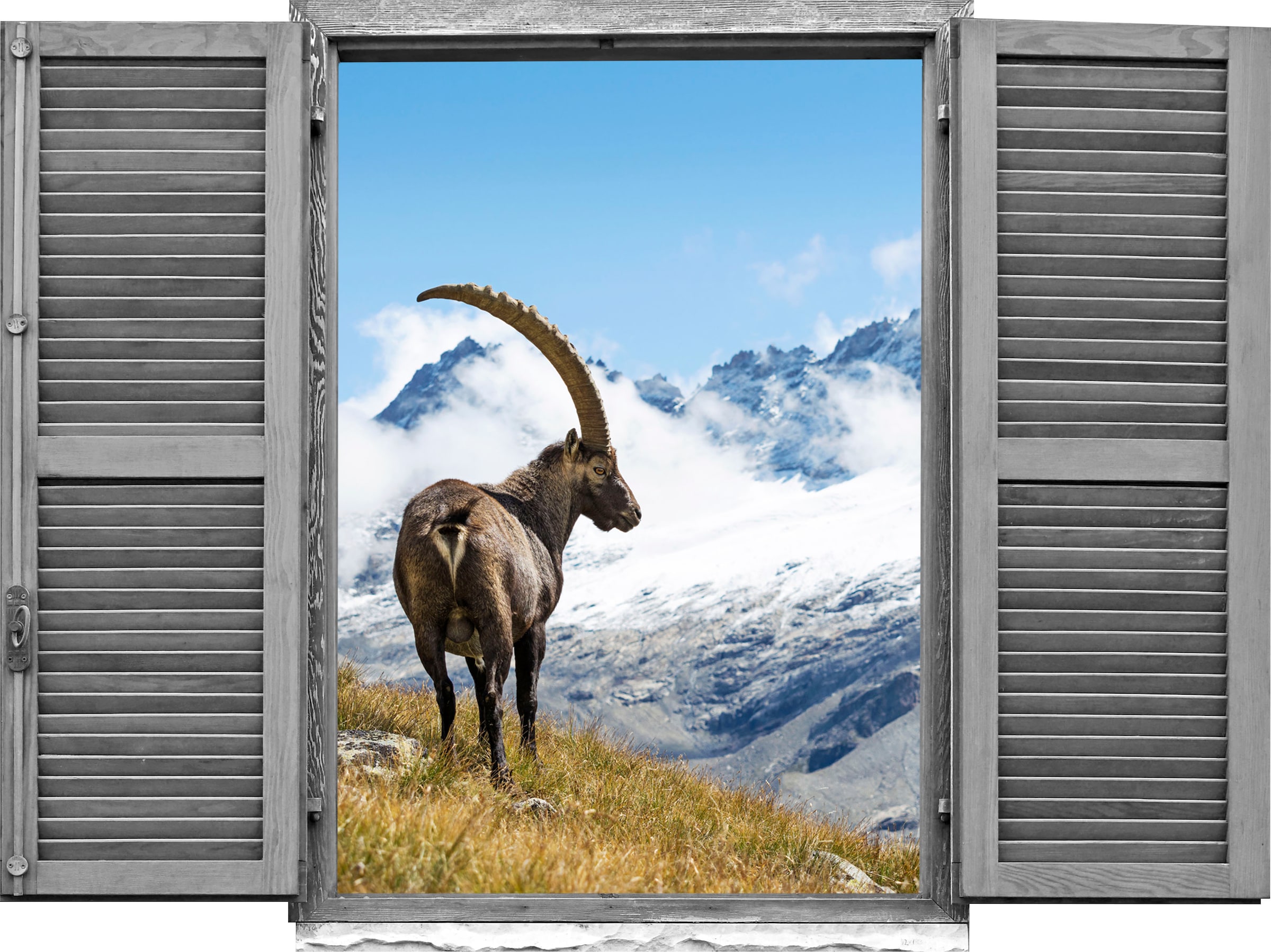 Image of queence Wandtattoo "Steinbock" Wandsticker, Wandbild, selbstklebend, 3D, Fenster