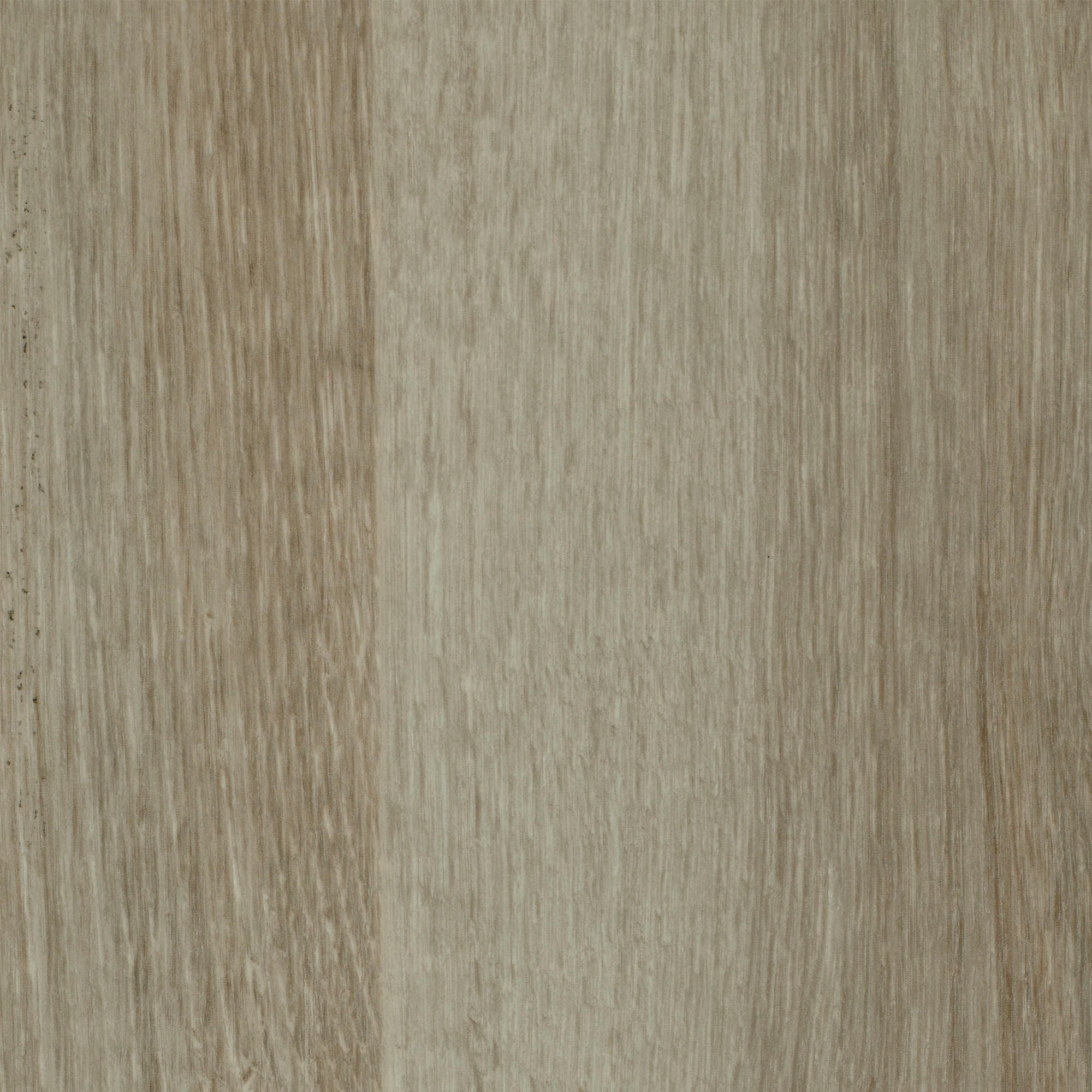 Image of Bodenmeister Vinylboden »PVC Bodenbelag Holzoptik Diele Eiche creme weiss«, Meterware, Breite 200/300/400 cm bei Ackermann Versand Schweiz