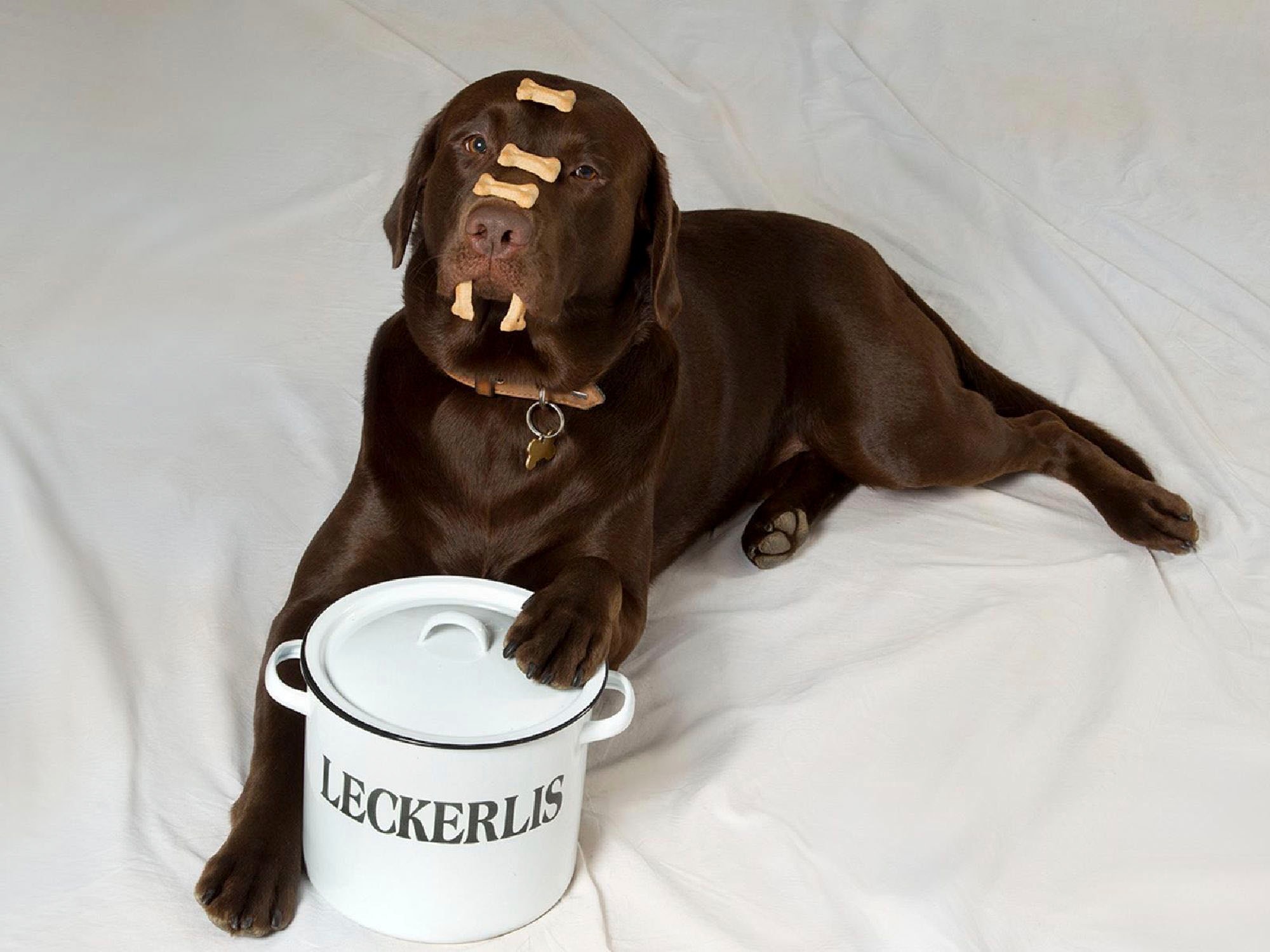 Ambiente Haus Boîte »Vorratsbehälter Leckerli aus Emaille«