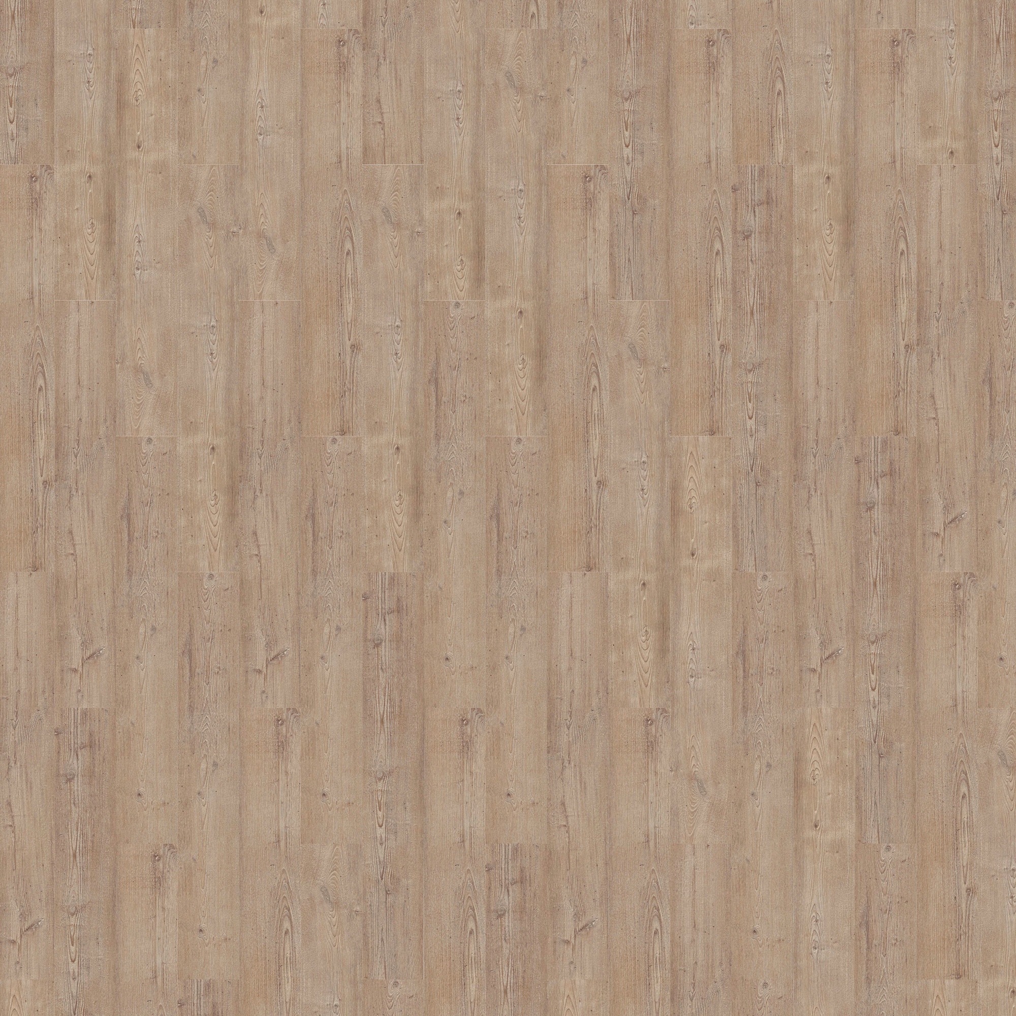 Image of Bodenmeister Vinylfliesen »Queen«, Klick-Technik, 121 x 176,6 cm bei Ackermann Versand Schweiz