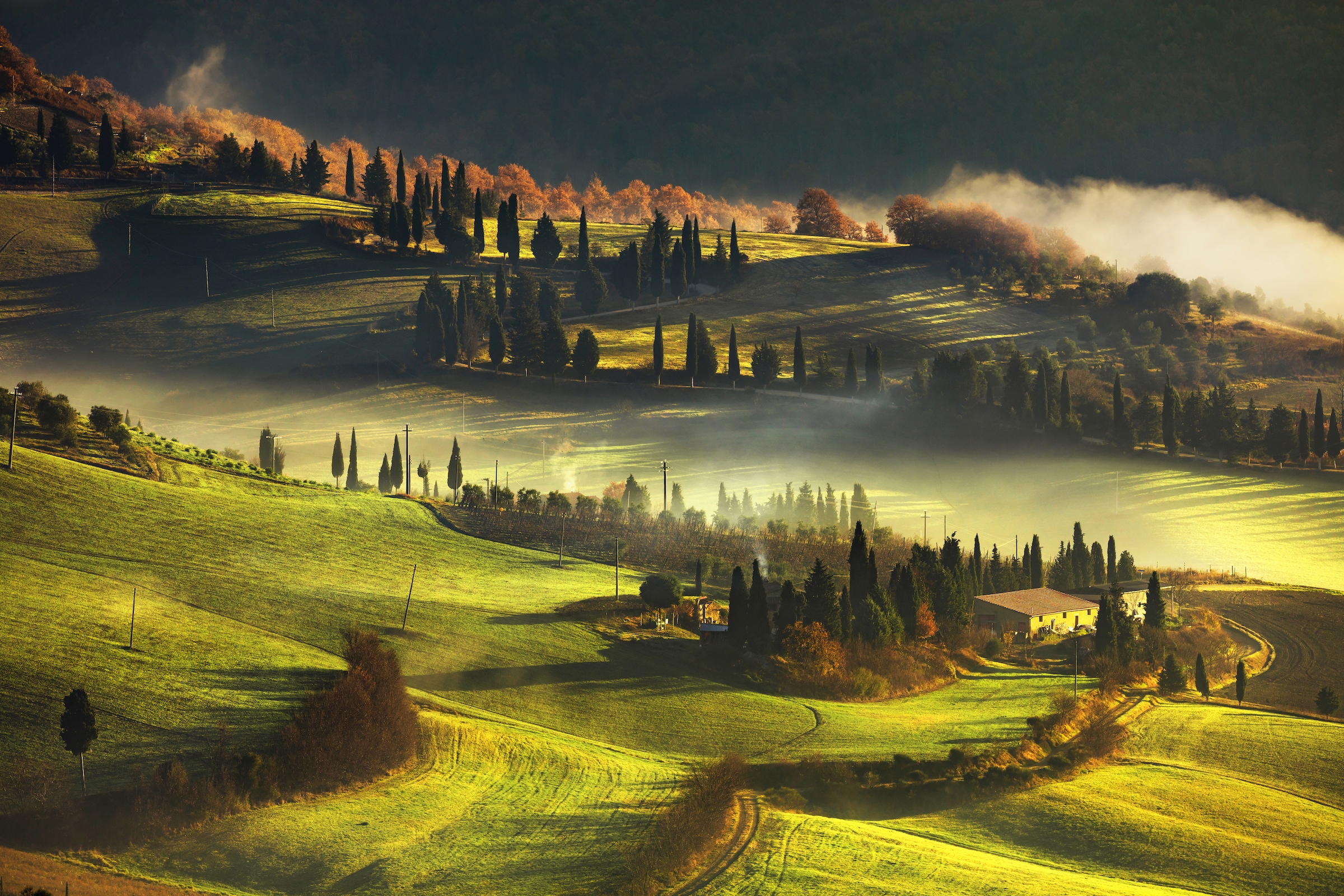 Image of Papermoon Fototapete "LANDSCHAFT-HERBST NATUR BÄUME WALD BERGE GEBIRGE ALPEN"