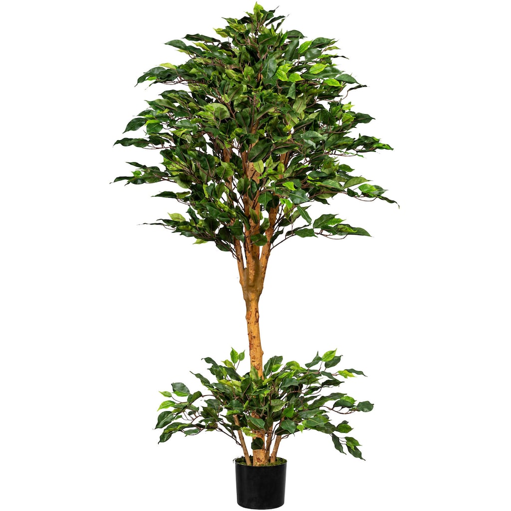 Creativ green Kunstbaum »Ficus Benjamini«