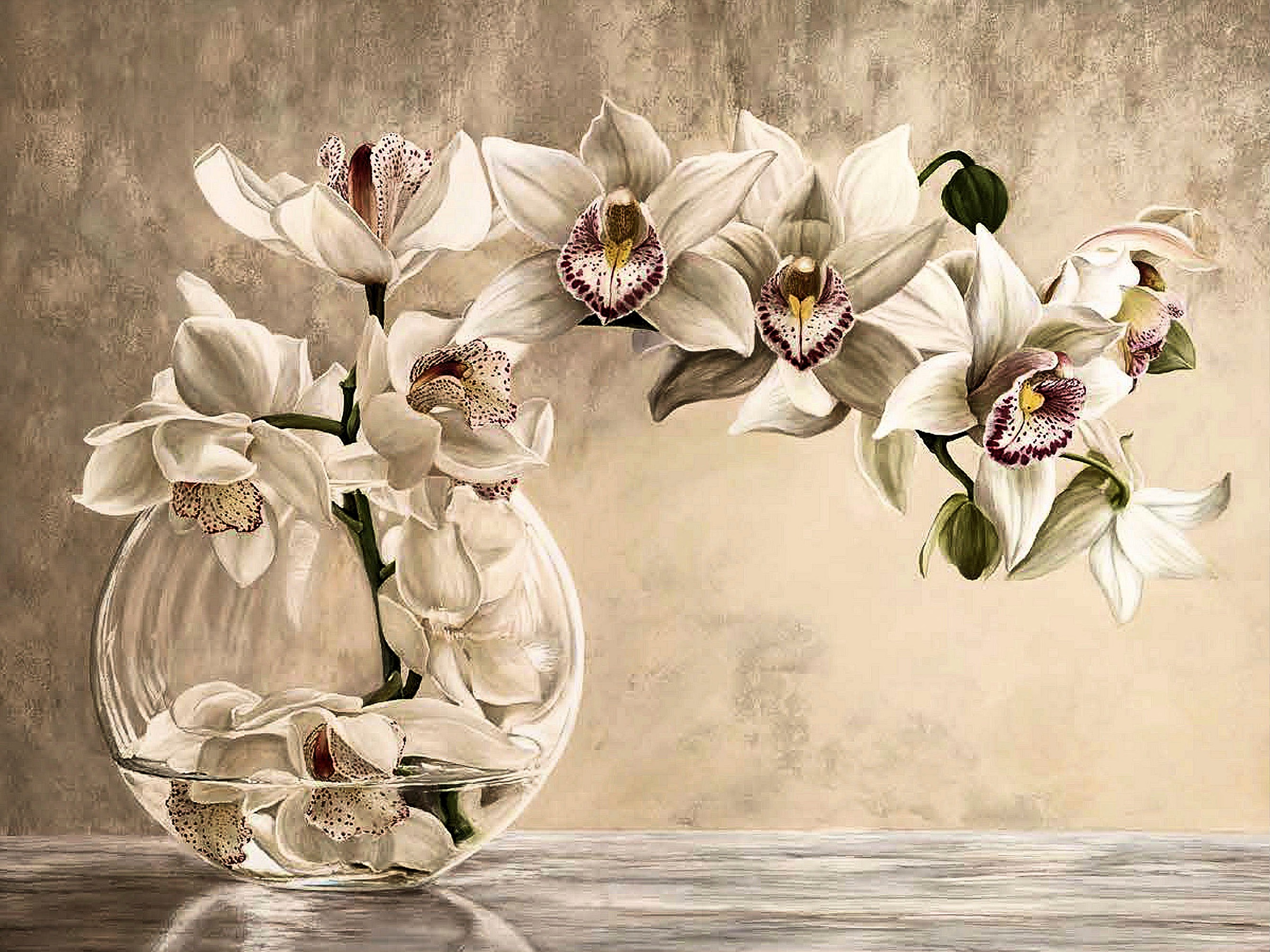 Image of Home affaire Kunstdruck »REMY DELLAL/Orchideen Vase«, (1 St.) bei Ackermann Versand Schweiz