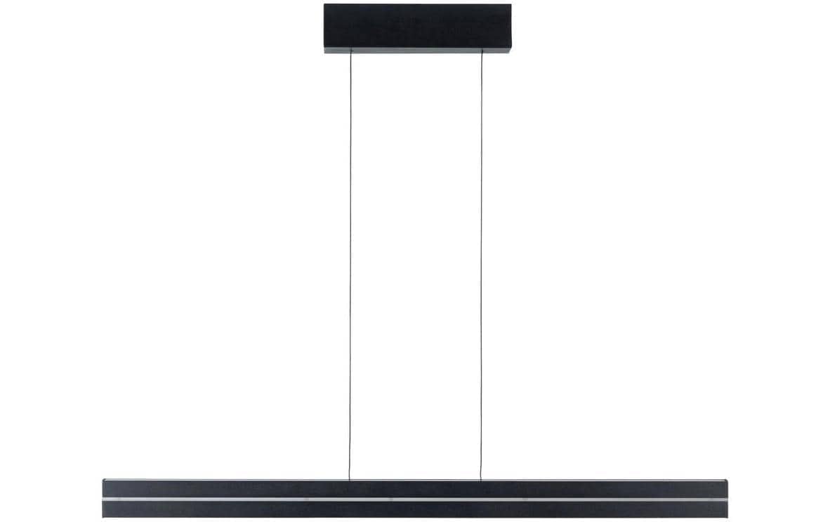 Paulmann Pendelleuchte »LED Pendelleuchte Raiko« LED-Modul RGB | warmweiss - kaltweiss