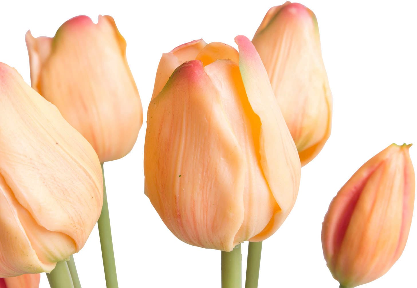 Kunstblume »Tulpenbündel Touch« real kaufen Botanic-Haus günstig