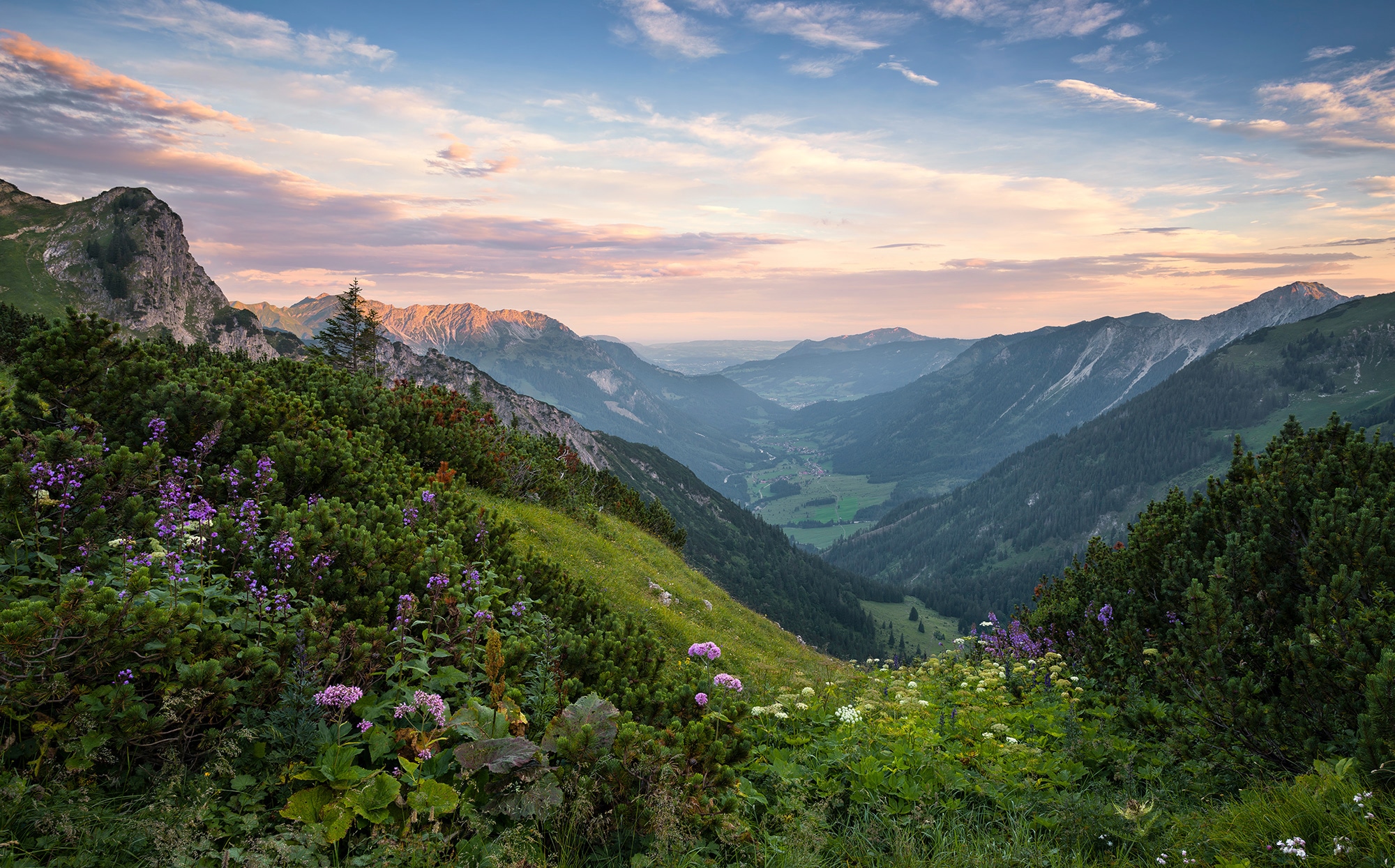 Image of Komar Fototapete »Naturpark Allgäuer Hochalpen«, mehrfarbig-natürlich-bedruckt bei Ackermann Versand Schweiz