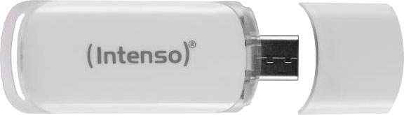 Image of Intenso USB-Stick »Flash Line 64GB USB 3.1«, (USB 3.1 Lesegeschwindigkeit 70 MB/s) bei Ackermann Versand Schweiz