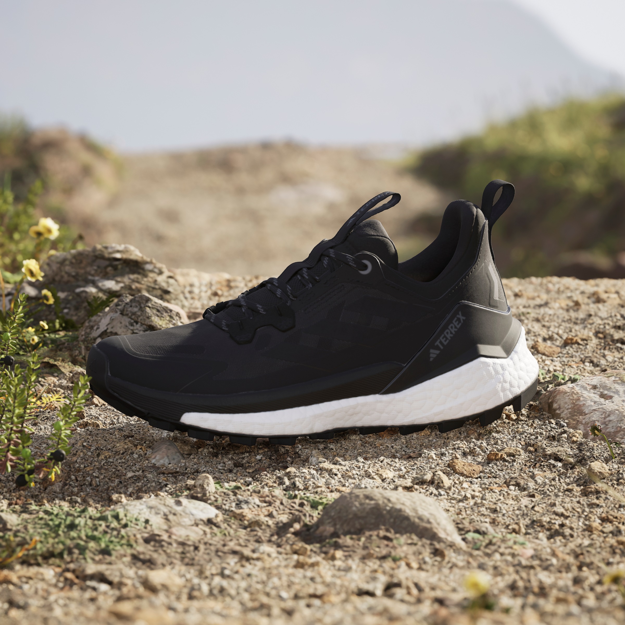 adidas TERREX Wanderschuh »TERREX FREE HIKER 2.0 LOW«