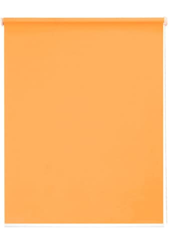 Seitenzugrollo »One size Style Peach«, Lichtschutz, freihängend