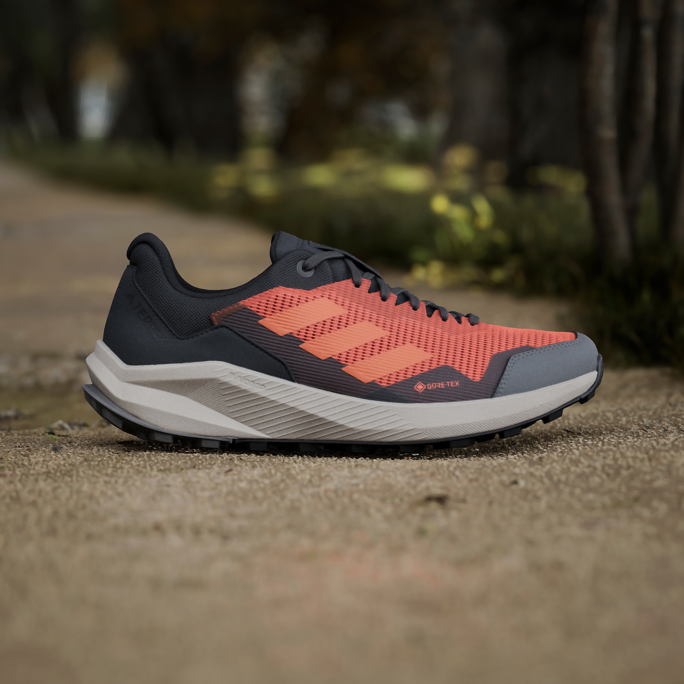 adidas TERREX Laufschuh »TRAIL RIDER GORE-TEX TRAILRUNNING«, wasserdicht