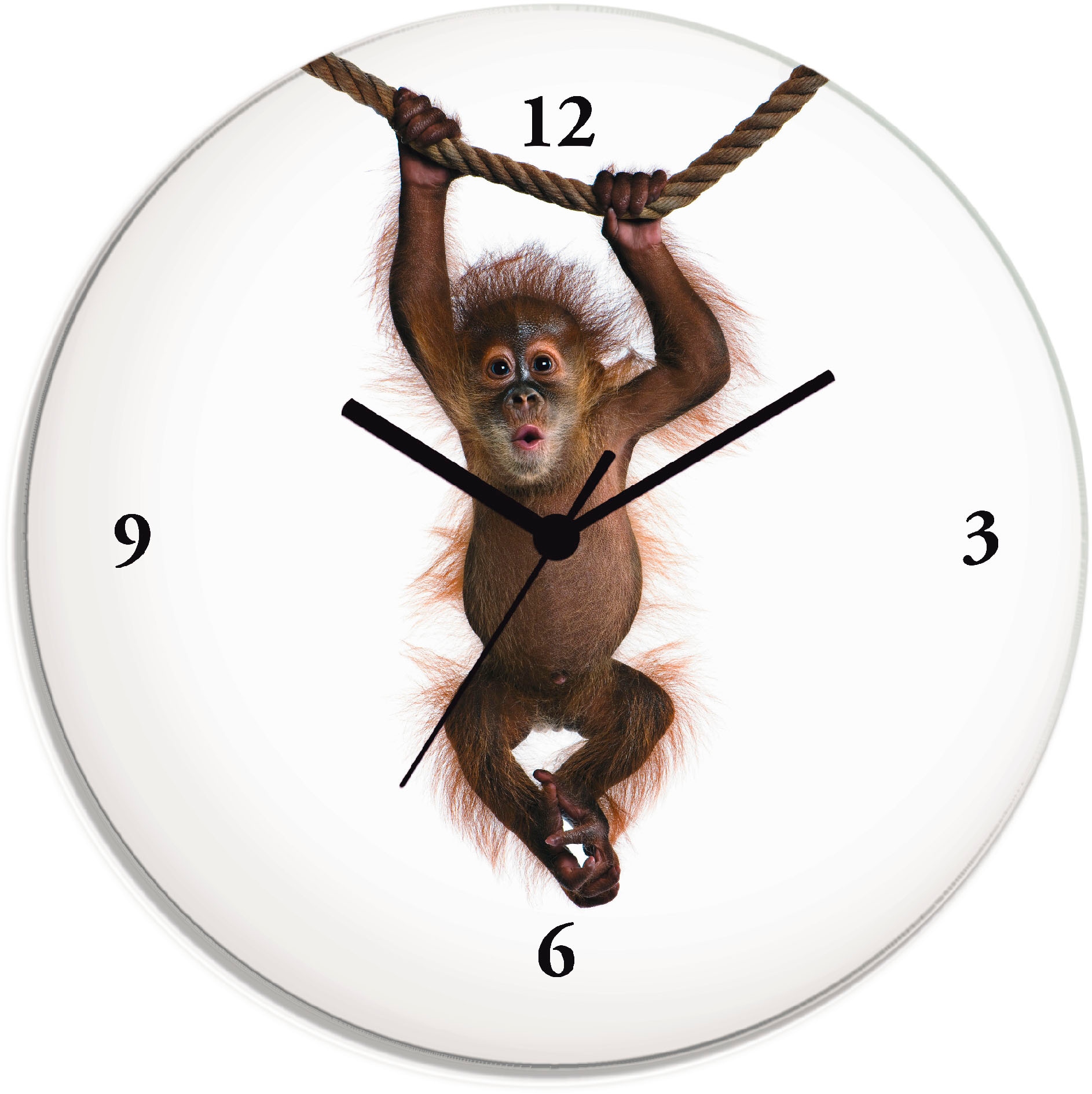 Image of Artland Wanduhr "Baby Sumatra Orang Utan hängt an Seil" wahlweise mit Quarz- oder Funkuhrwerk, lautlos ohne Tickgeräusche