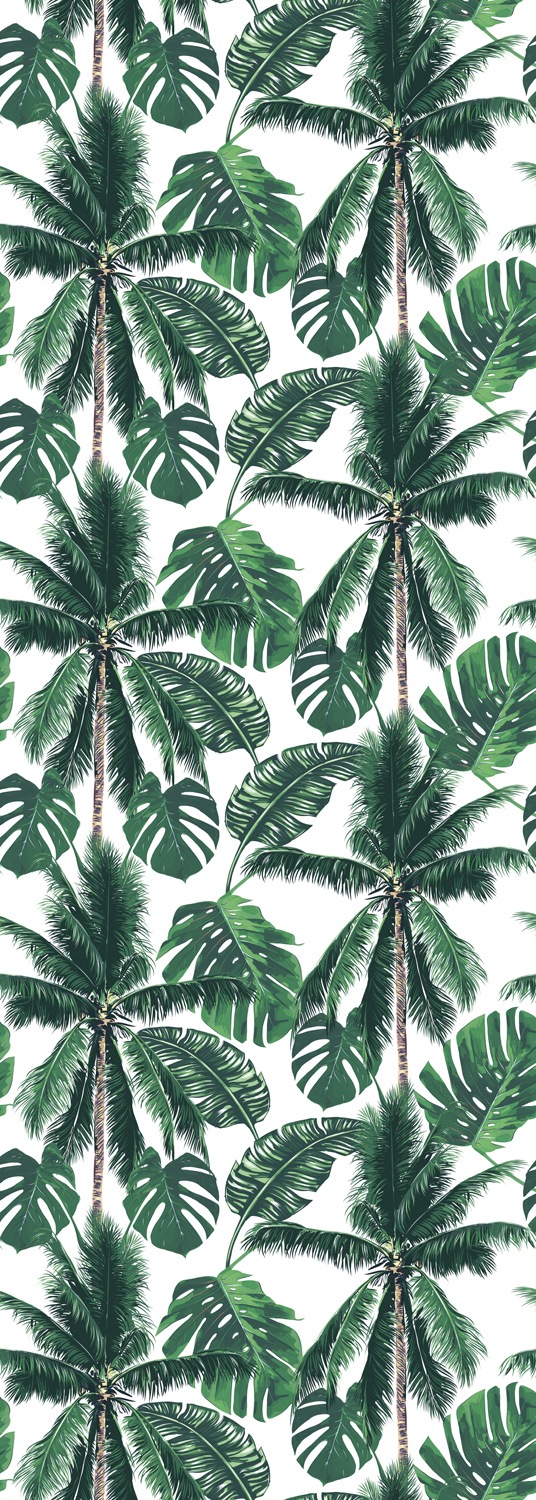 Image of queence Vinyltapete "Palm Tree" Motiv bedruckt botanisch floral gemustert natürlich glatt 90x250cm, selbstklebend, kinderleichte Anbringung, Sticker