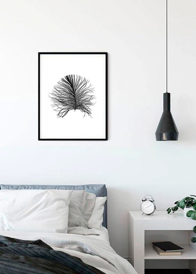 Komar Image »Feather White« 1 cuis tlg. Wandbild zur Dekoration - ohne Rahmen