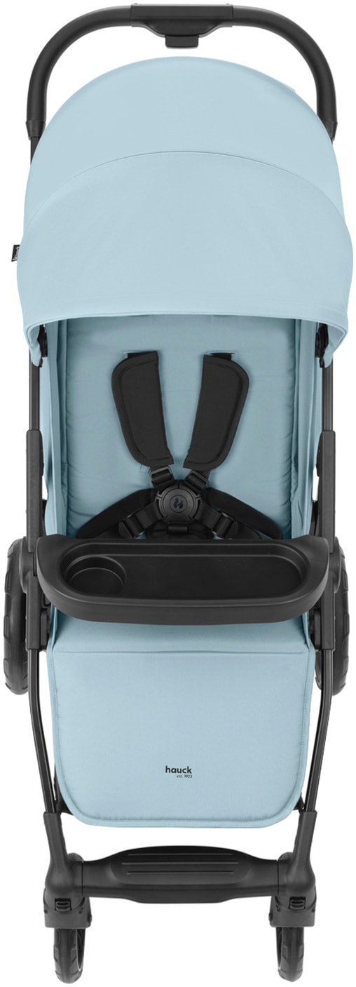 Hauck Kinder-Buggy »Shop N Care, Dusty Blue« 22 kg bis 22 kg belastbar; kompatibel mit Babyschale