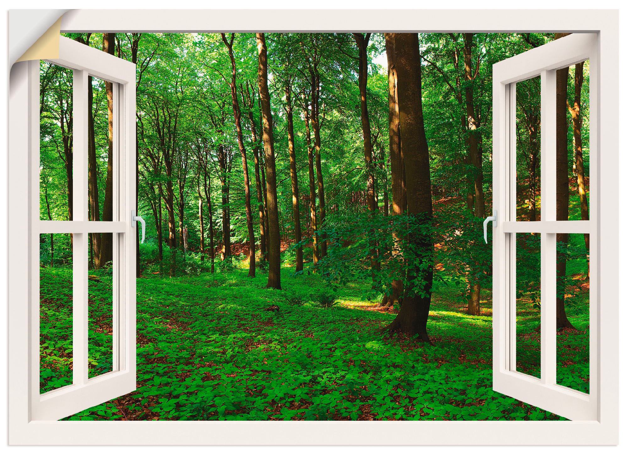 Artland Wandbild »Fensterblick Panorama Leinwandbild, Fensterblick, kaufen als oder grüner Poster Grössen (1 Sommerwald«, St.), jetzt in Wandaufkleber versch