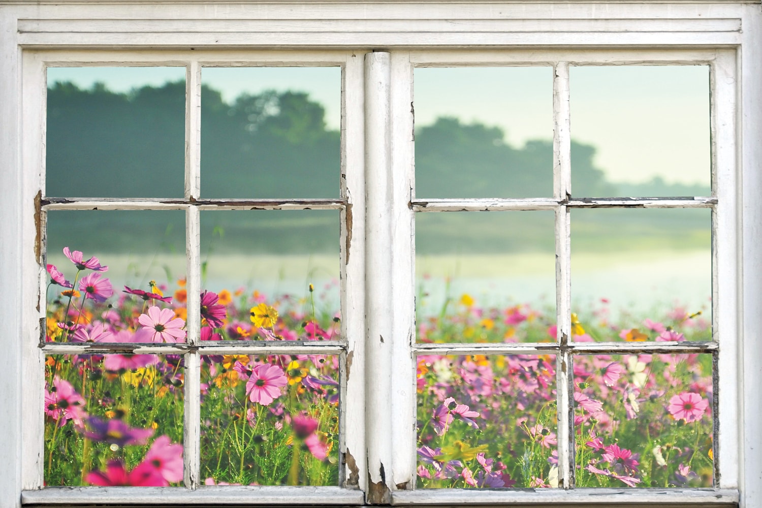 Image of queence Leinwandbild "Blumenwiese" Blumenwiese Fensterblick Natur Wiesen & Bäume 1 Stk. tlg. Premium-Leinwandstoff