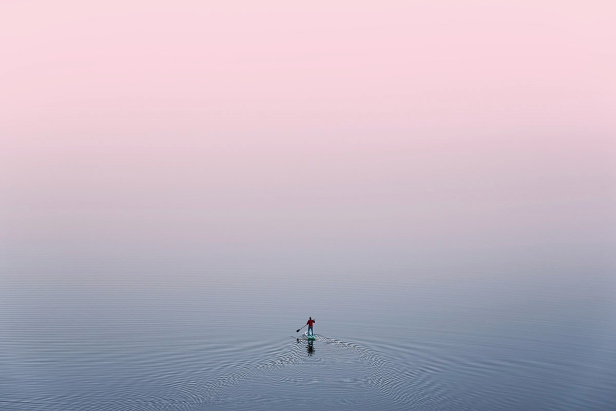 Image of Papermoon Fototapete »Ente im Wasser«, Vliestapete, hochwertiger Digitaldruck, inklusive Kleister bei Ackermann Versand Schweiz