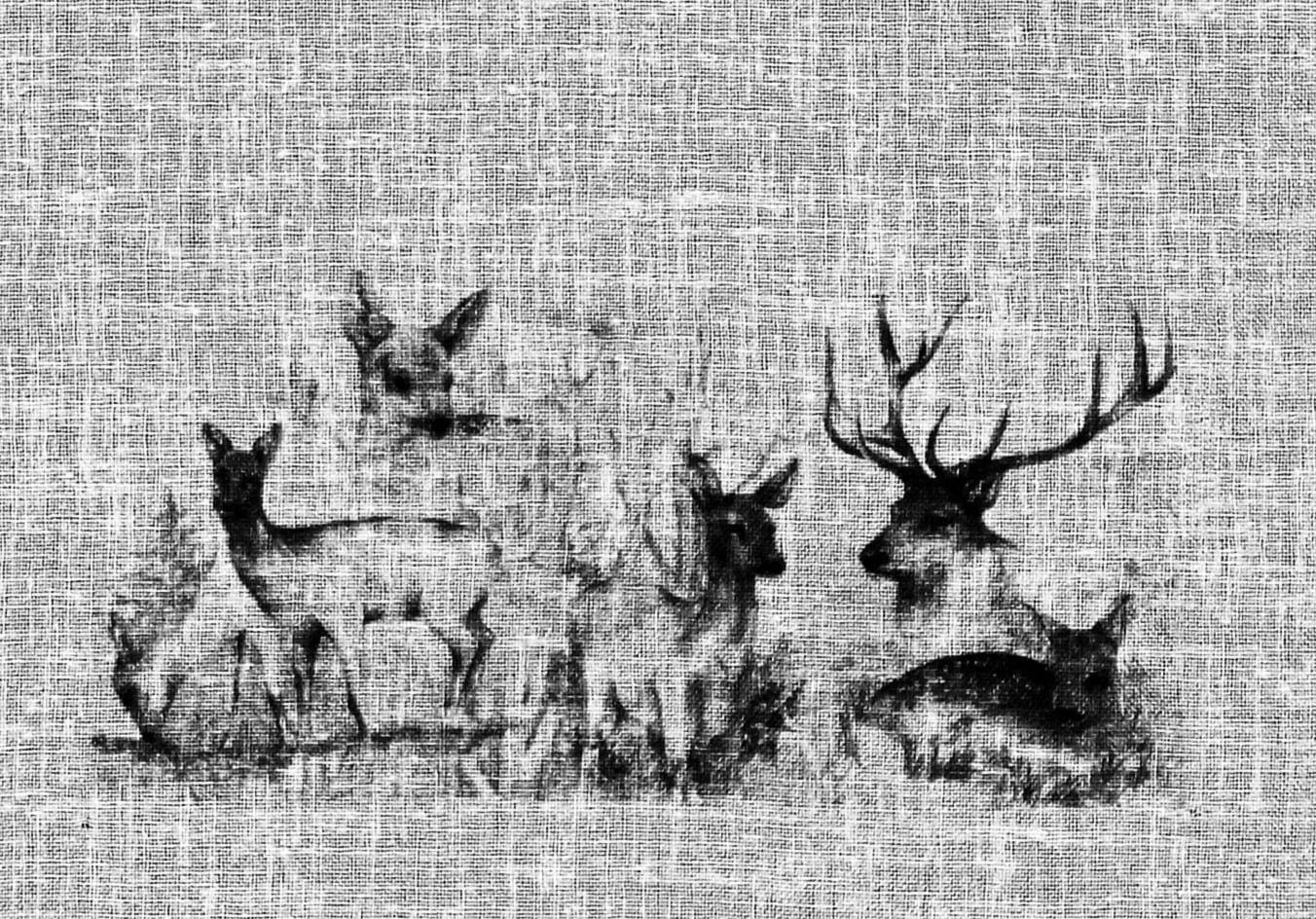 HOSSNER - 40x120, OF ART HxB: »Bambi«, DECO kaufen Landhaus-Look jetzt Querbehang (1 St.), HOME
