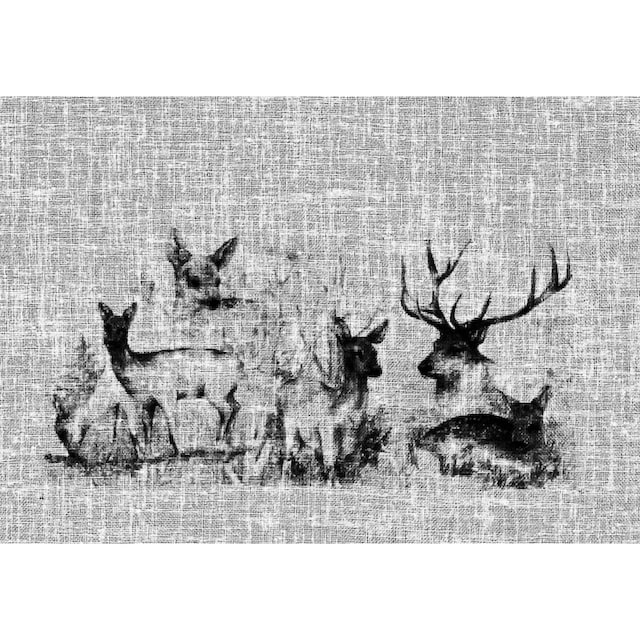HOSSNER - ART OF HOME DECO Querbehang »Bambi«, (1 St.), HxB: 40x120,  Landhaus-Look jetzt kaufen