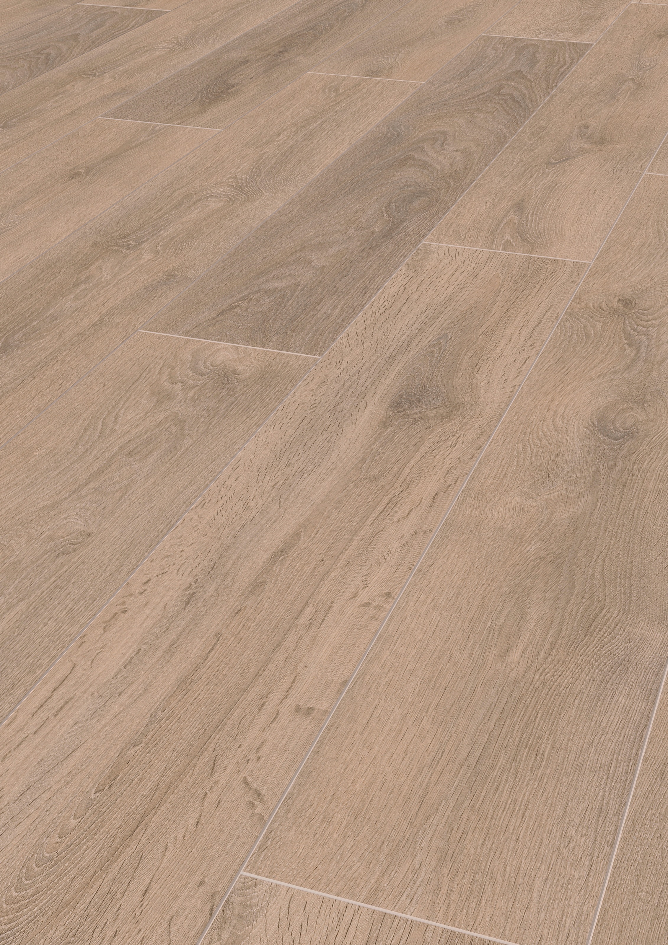 Image of ter Hürne Laminat »Eiche sandbraun«, mit fühlbarer Oberfläche und Klicksystem bei Ackermann Versand Schweiz